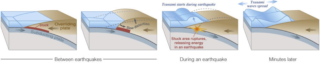 tsunami_creation.jpg