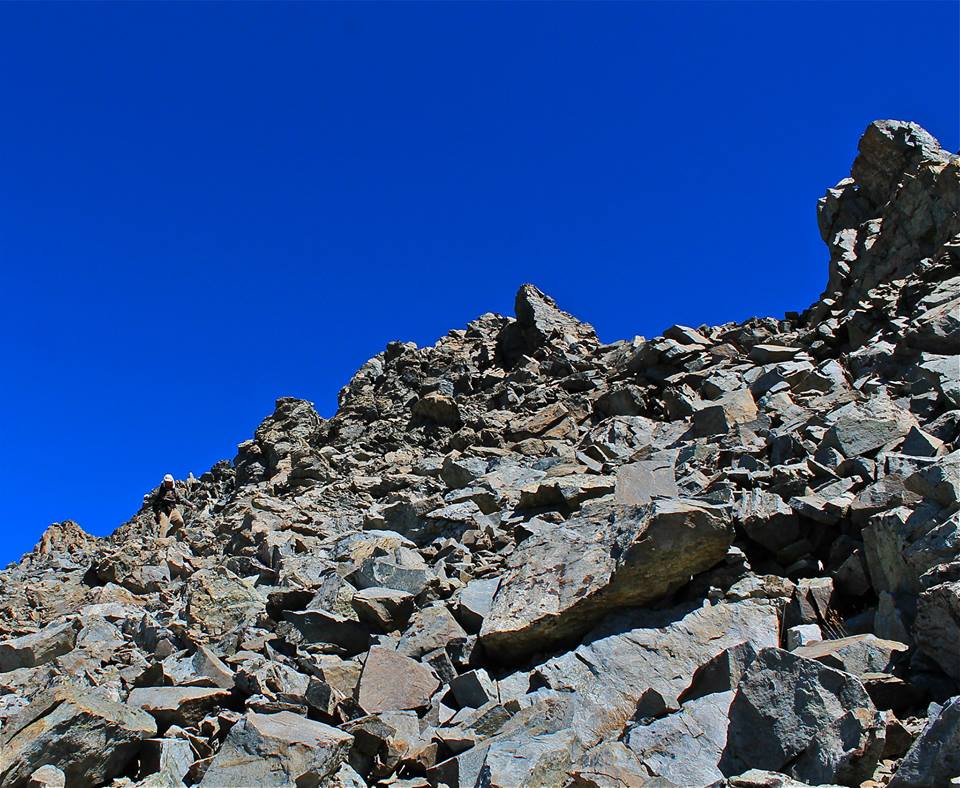 1461773_669212876443187_1605838052_n.jpg