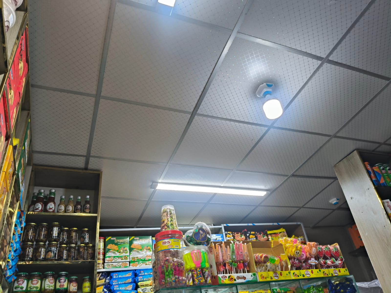 1000303494.jpg