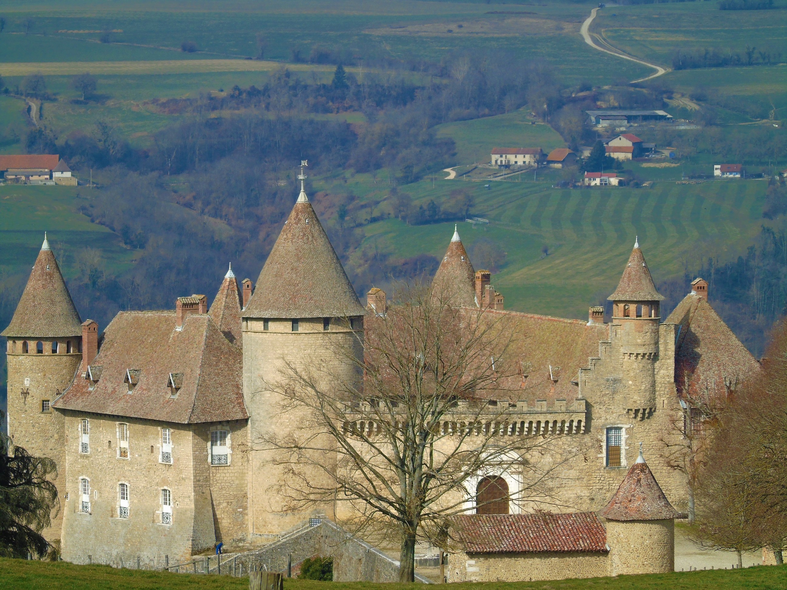 1photofeedlandscape104 (8).JPG