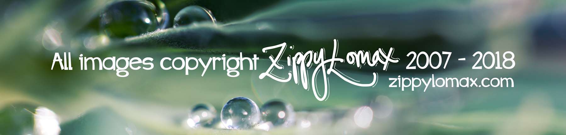 copyright-dewdrops.jpg