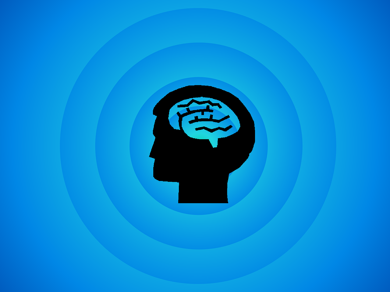 brain-494152_1280.png