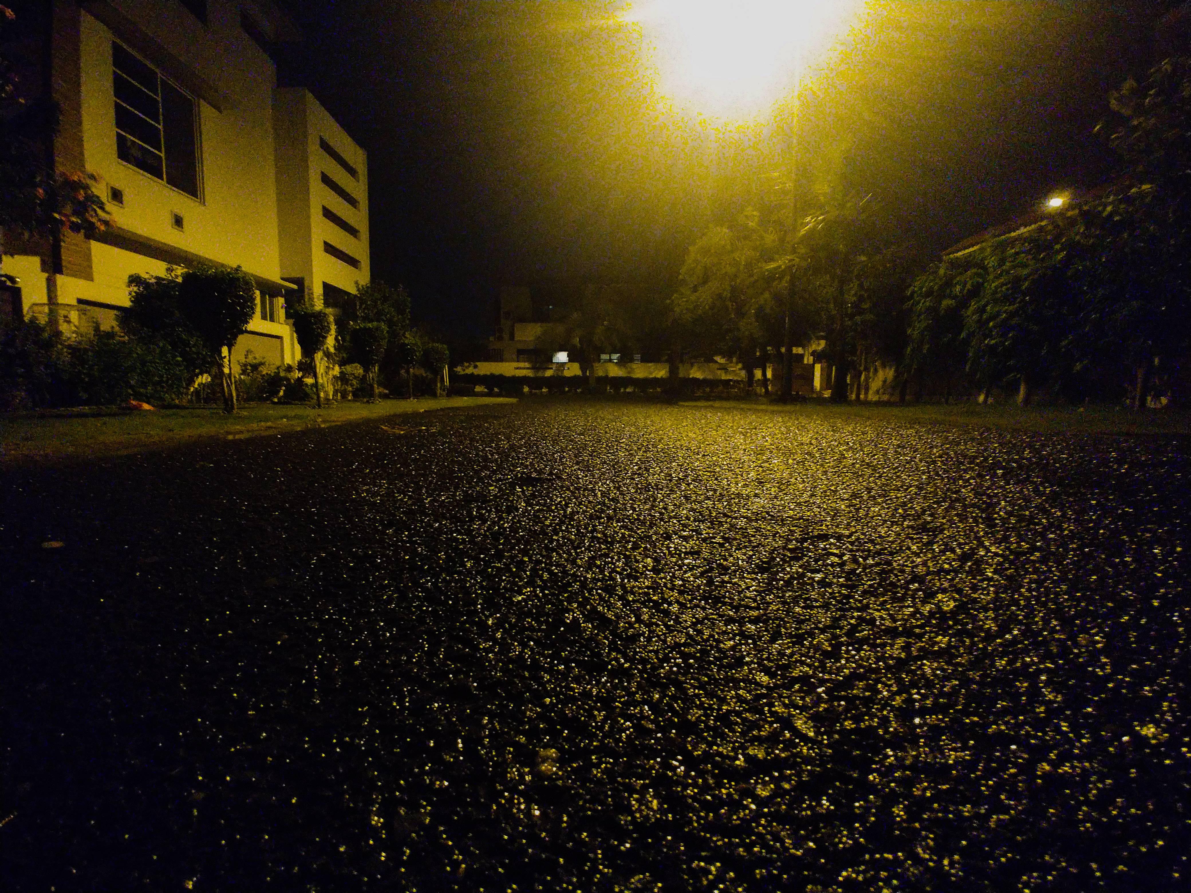 PSX_20210531_214503.jpg