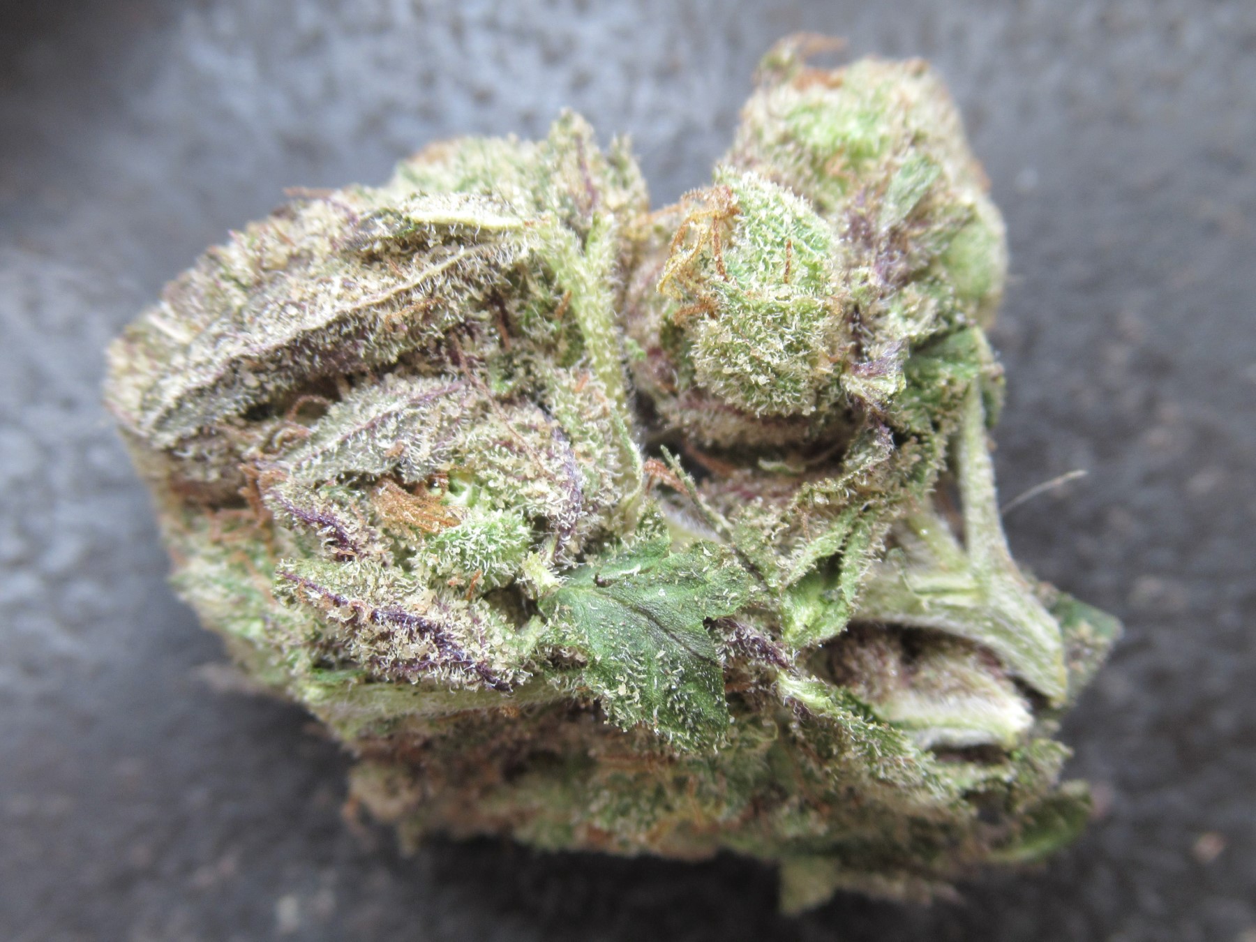 fullnugtop.jpg