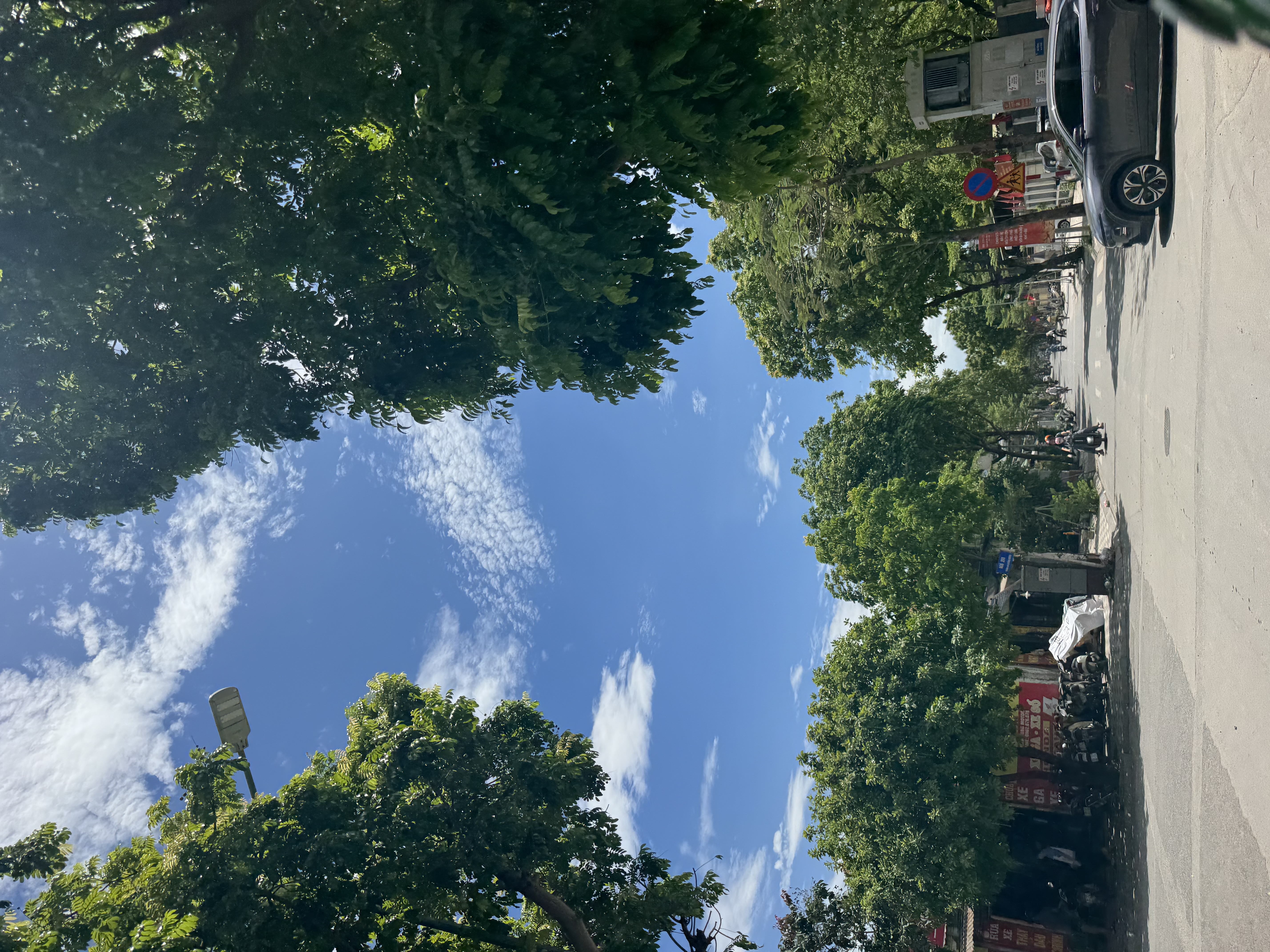 IMG_1634.jpeg