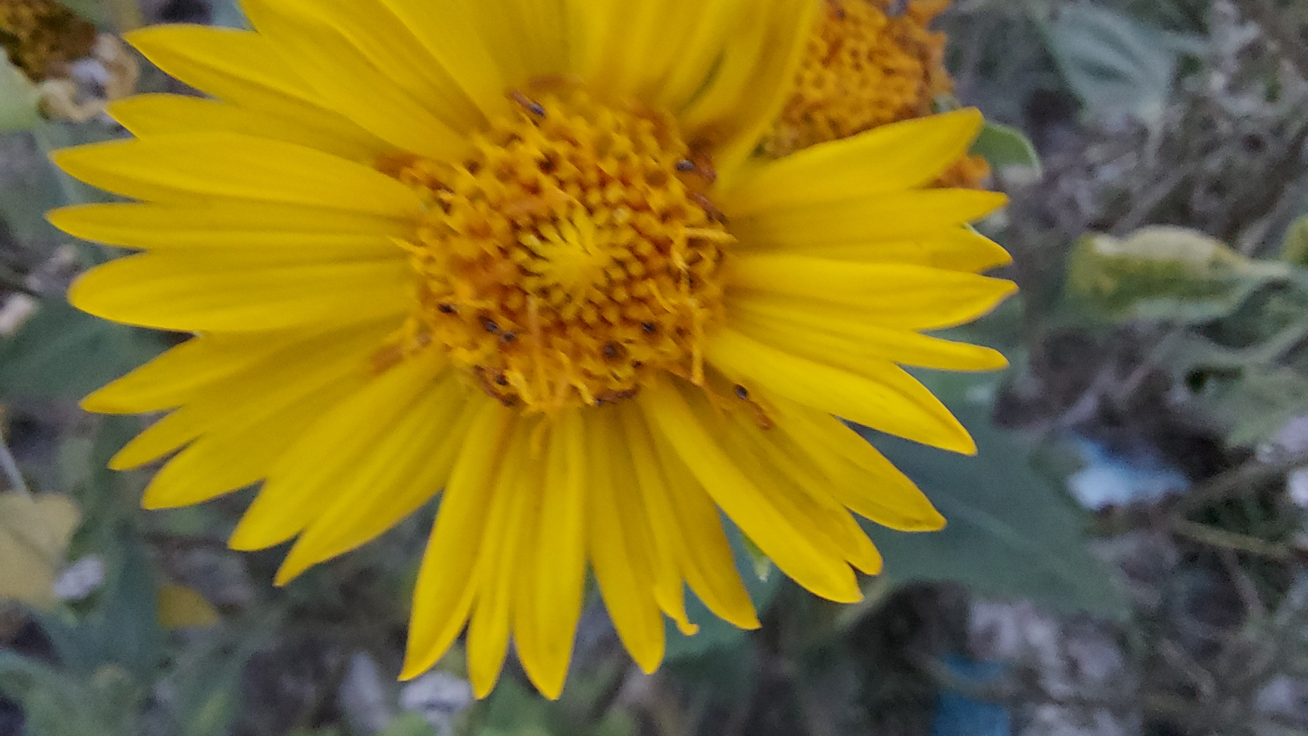 20210927_175723.jpg