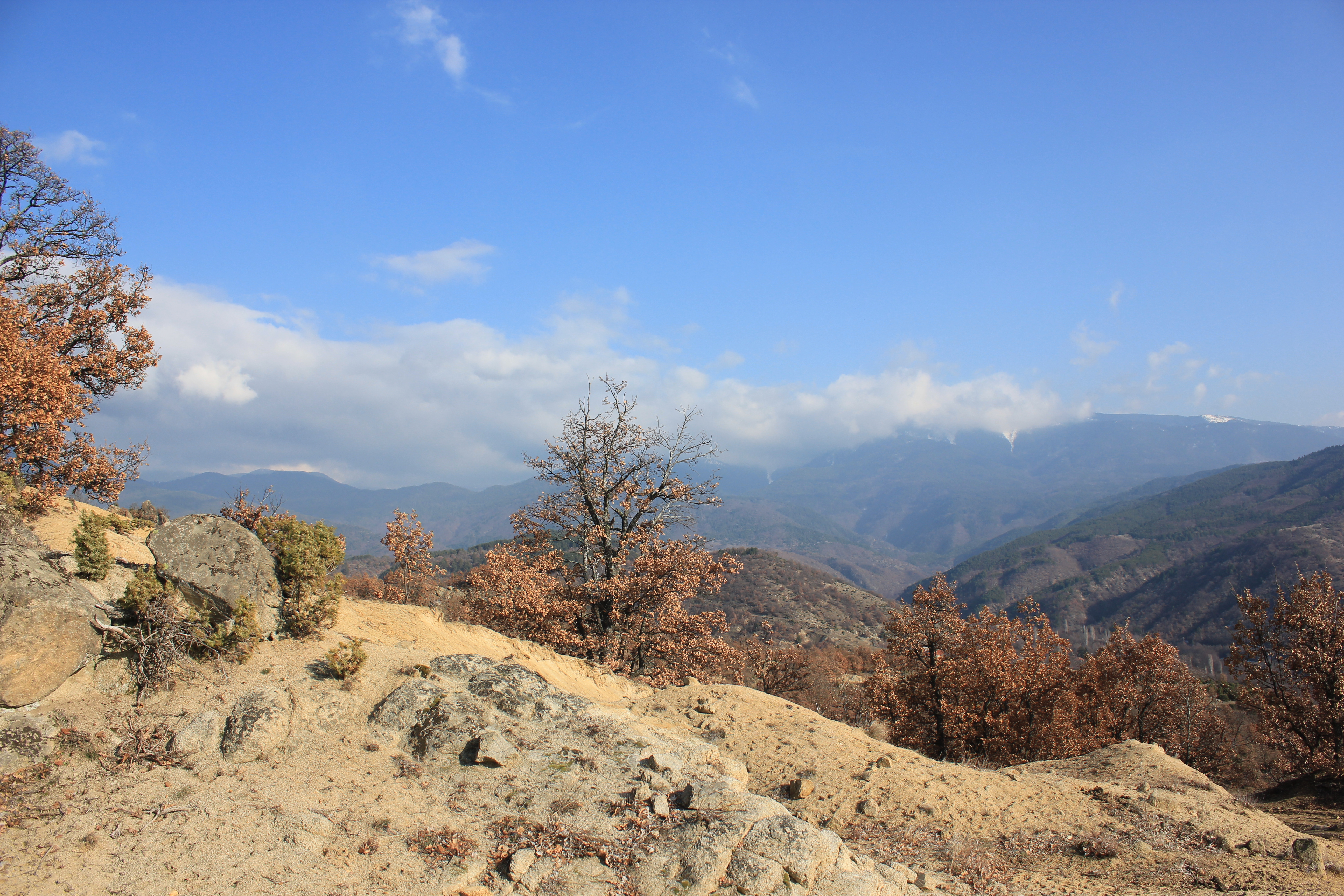 IMG_8144.jpg