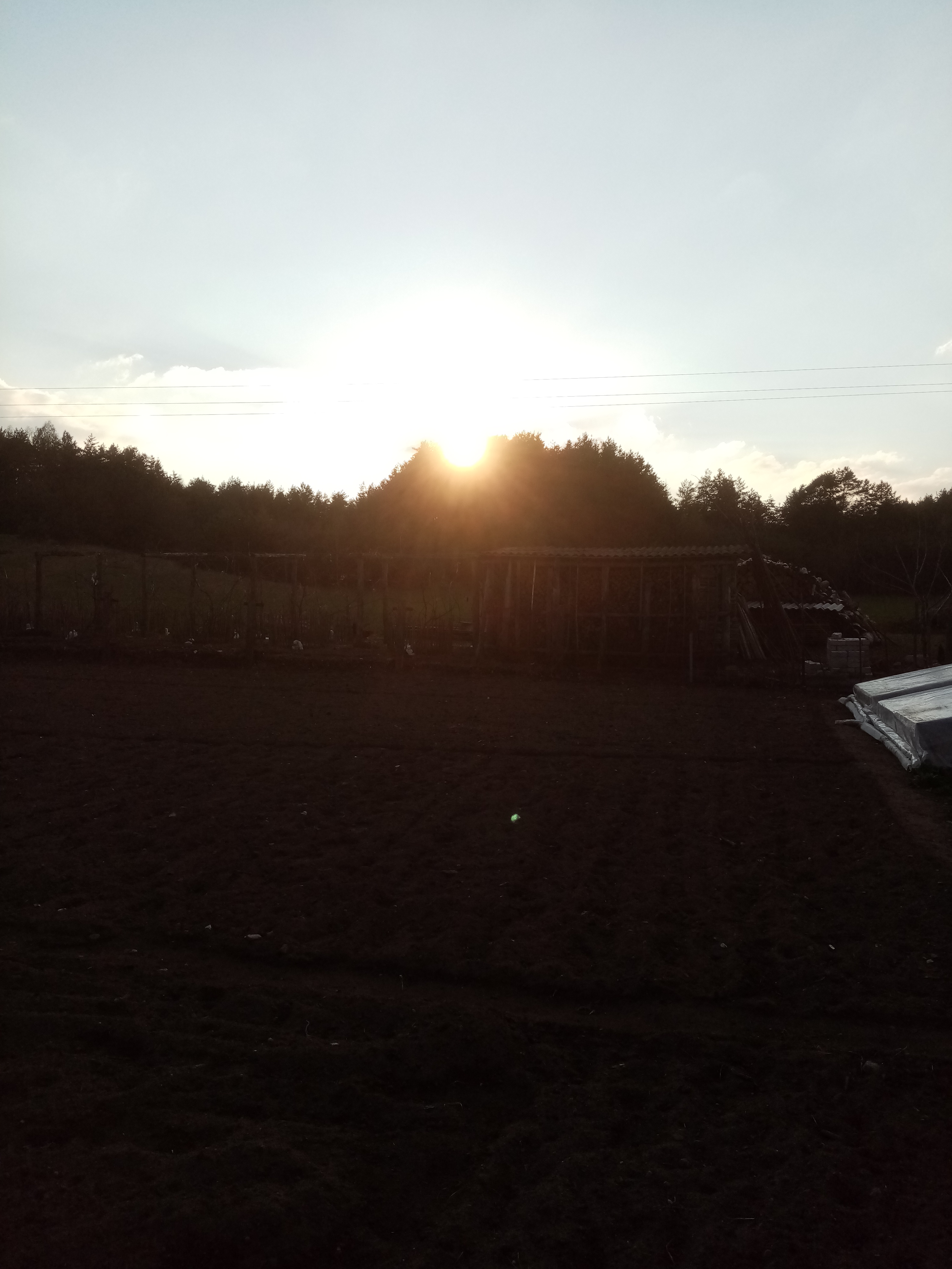 IMG_20210430_192012.jpg