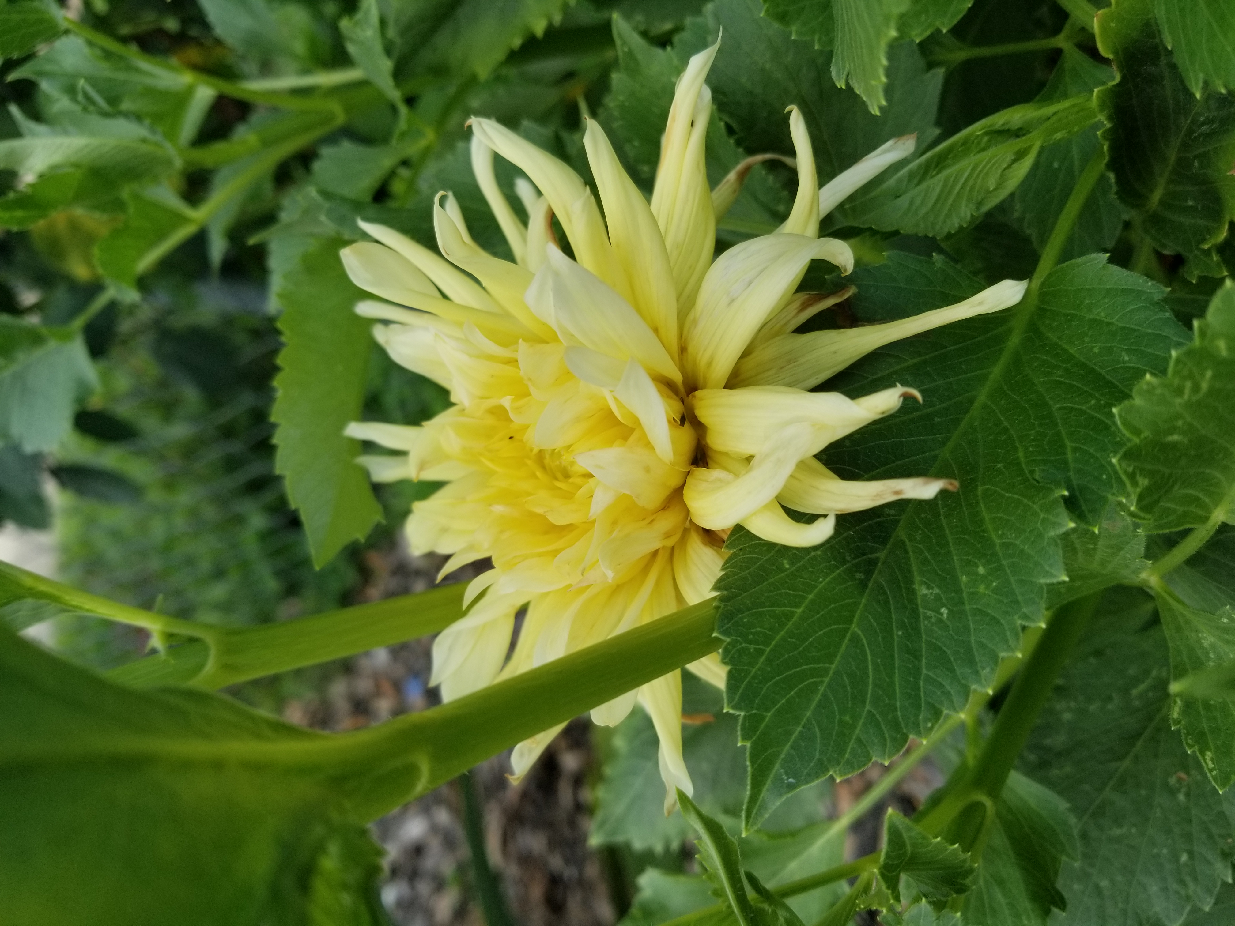 20180708_173743.jpg