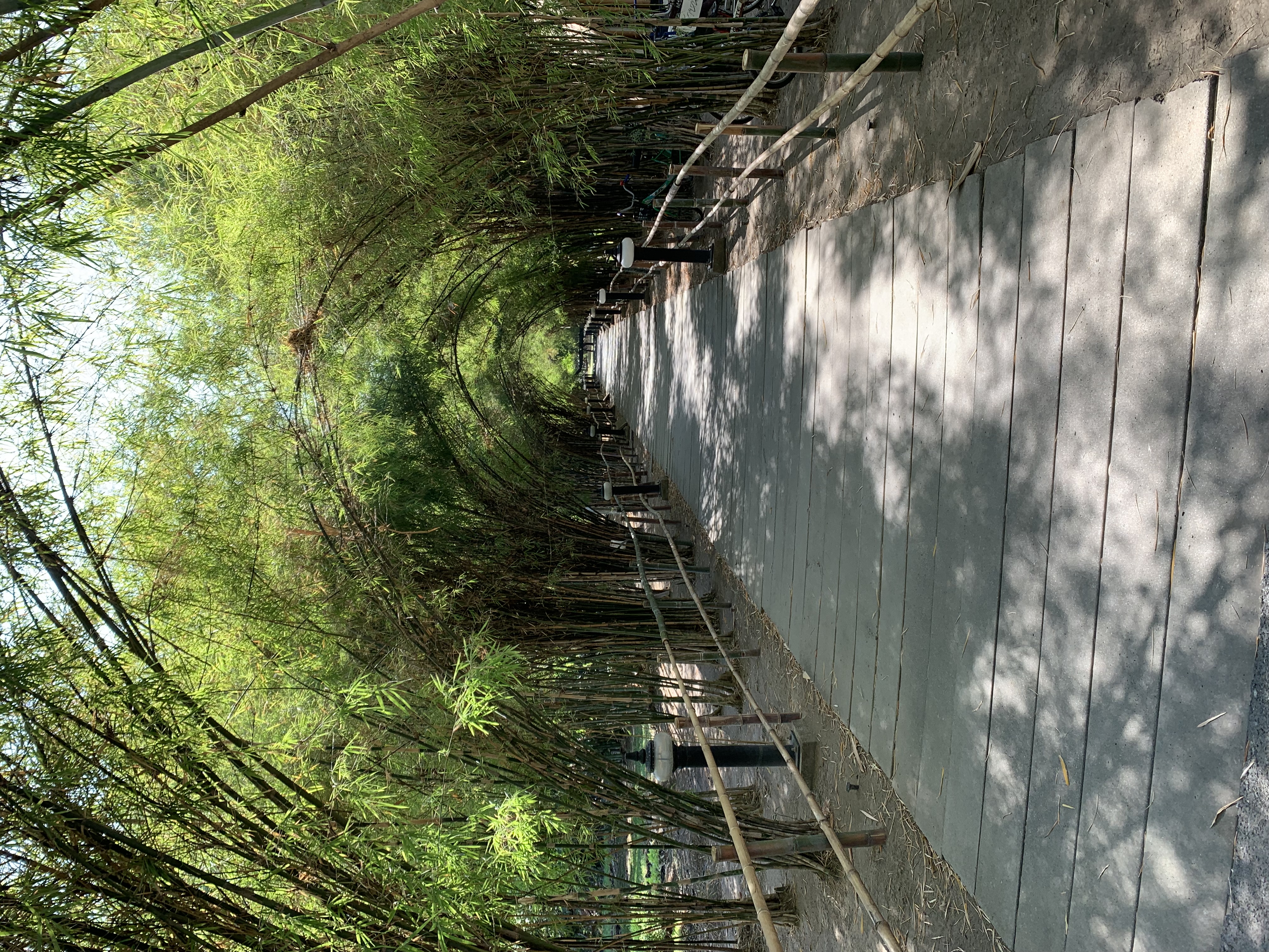 Queen Sirikit Park4.jpg