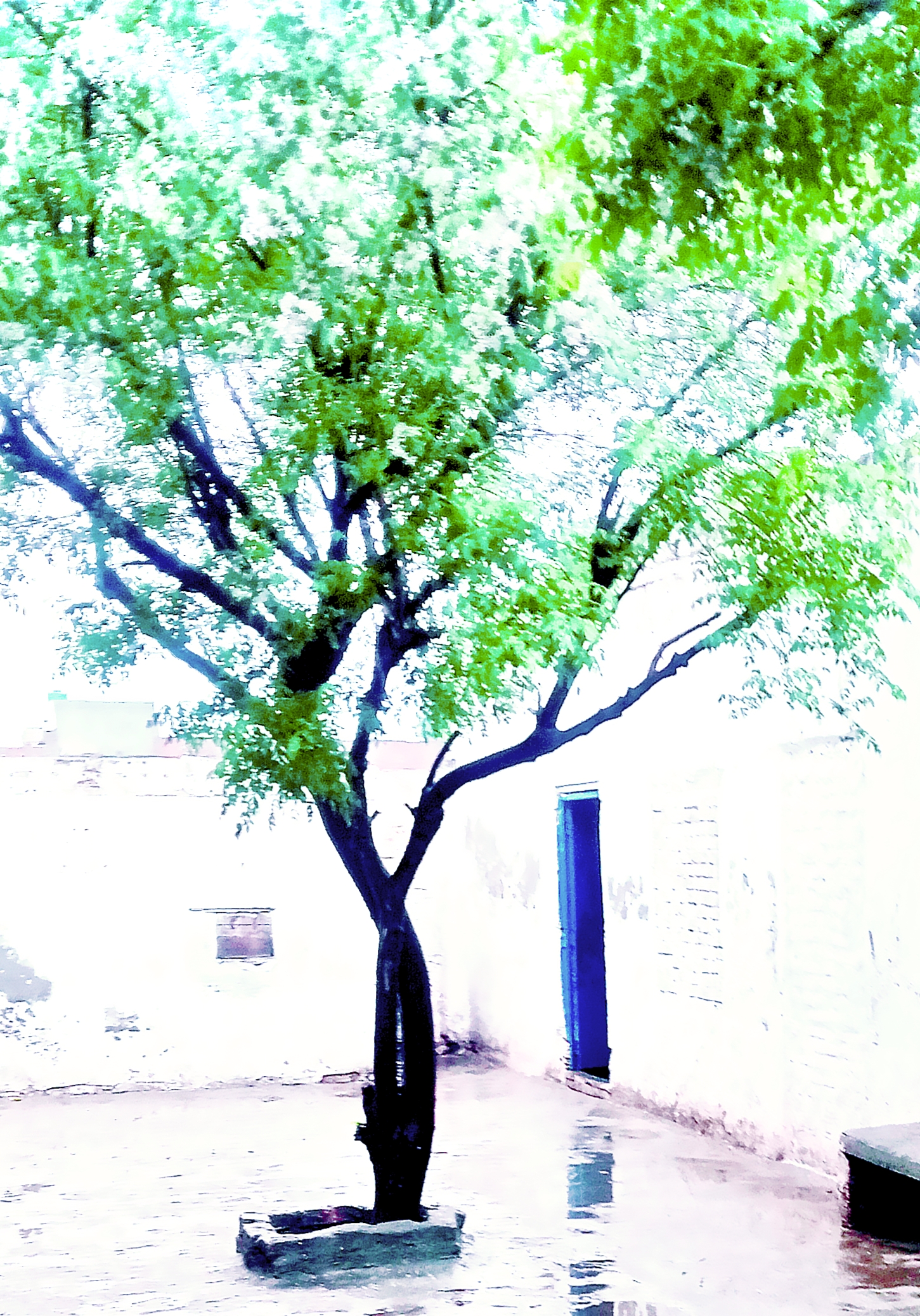 1000523053.jpg
