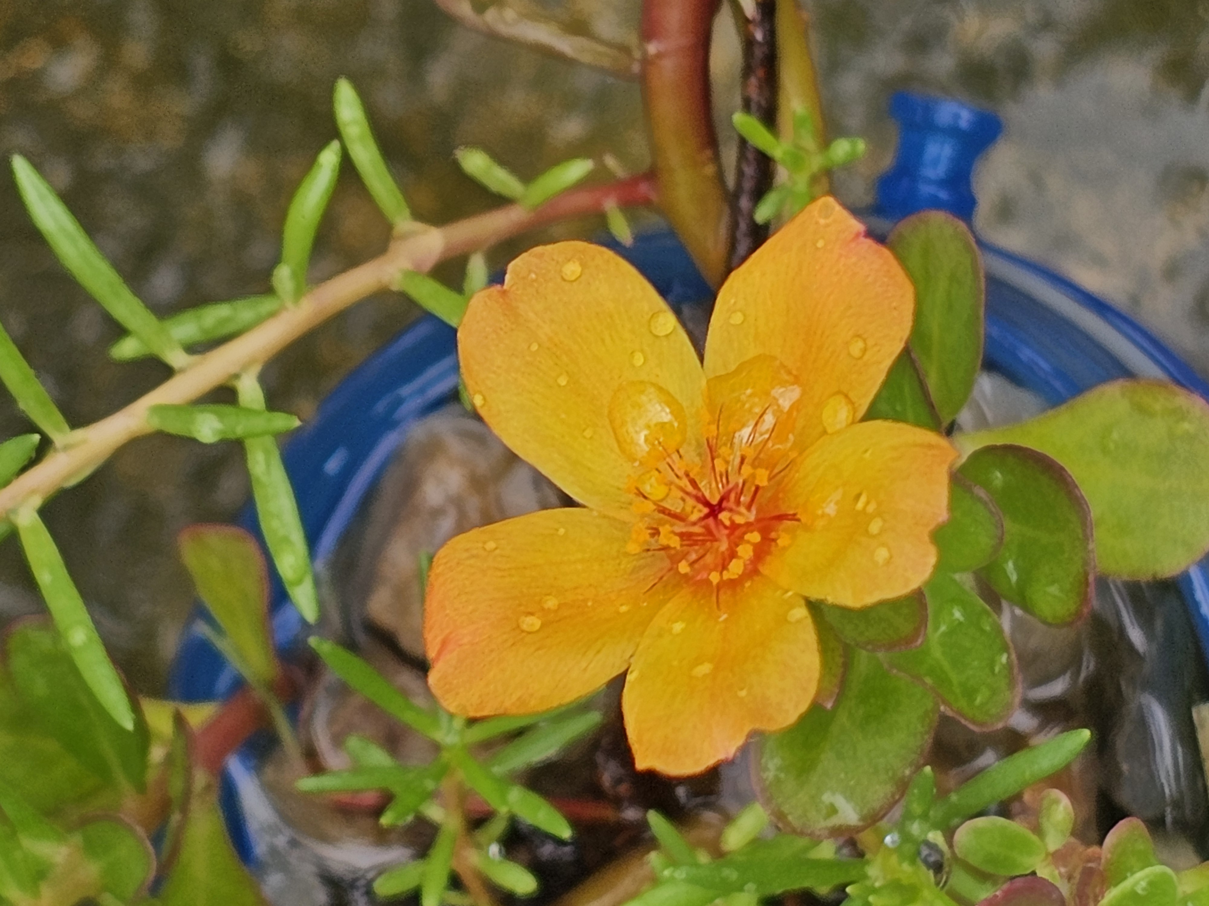 20250618_104519.jpg