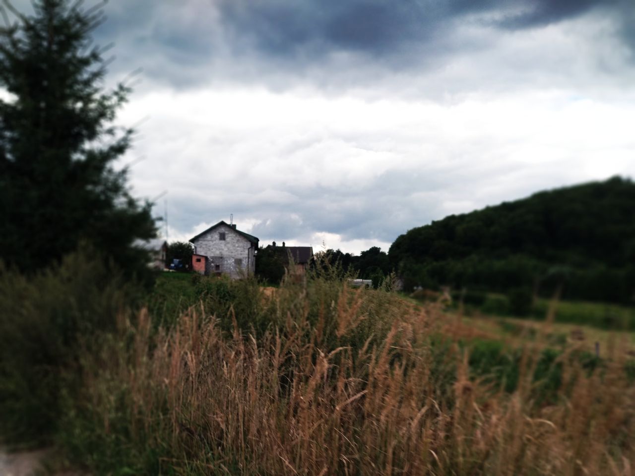 IMG_20210913_154439_428.jpg