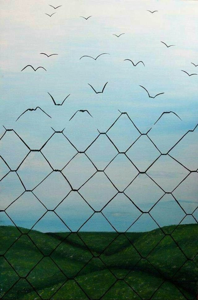 Freedom.jpg