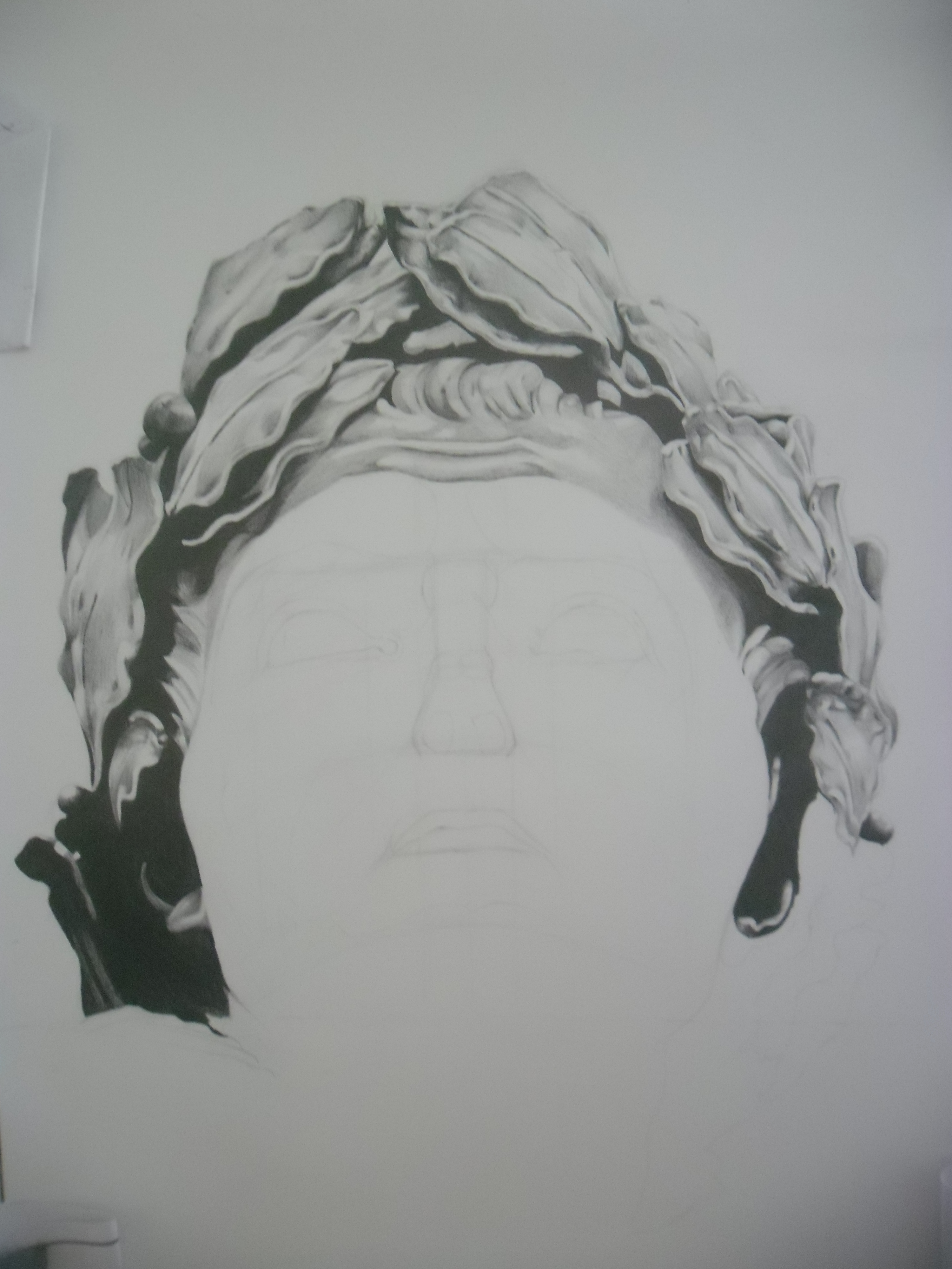 SAM_6095.JPG