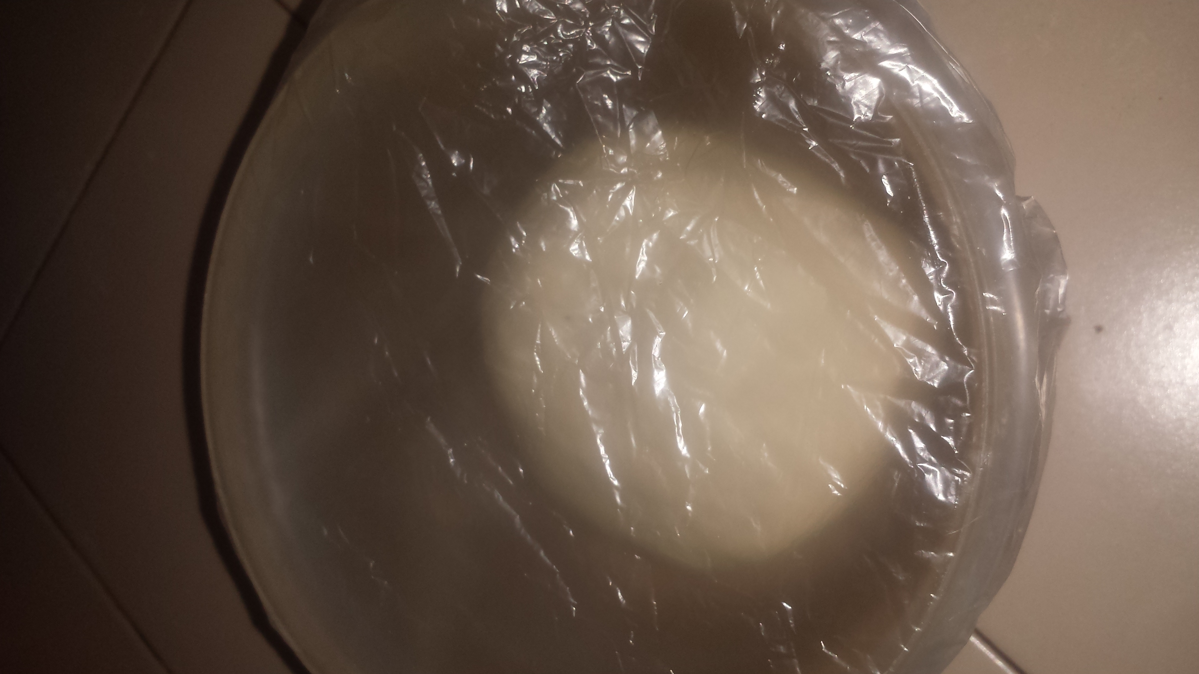20180630_114344.jpg