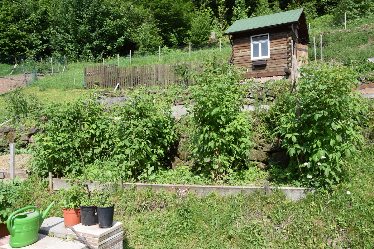 DSC_0085_1200.JPG