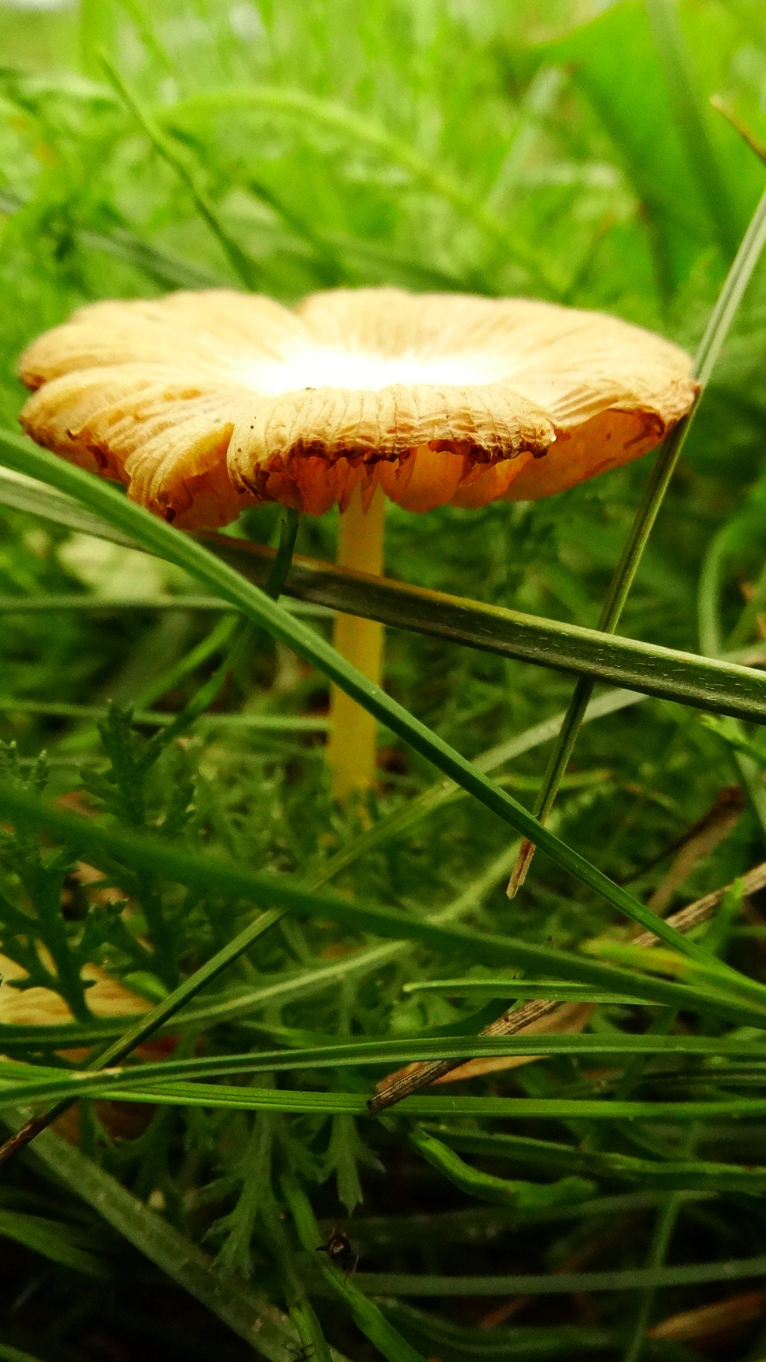 2019-08-06-10-30-32.jpg
