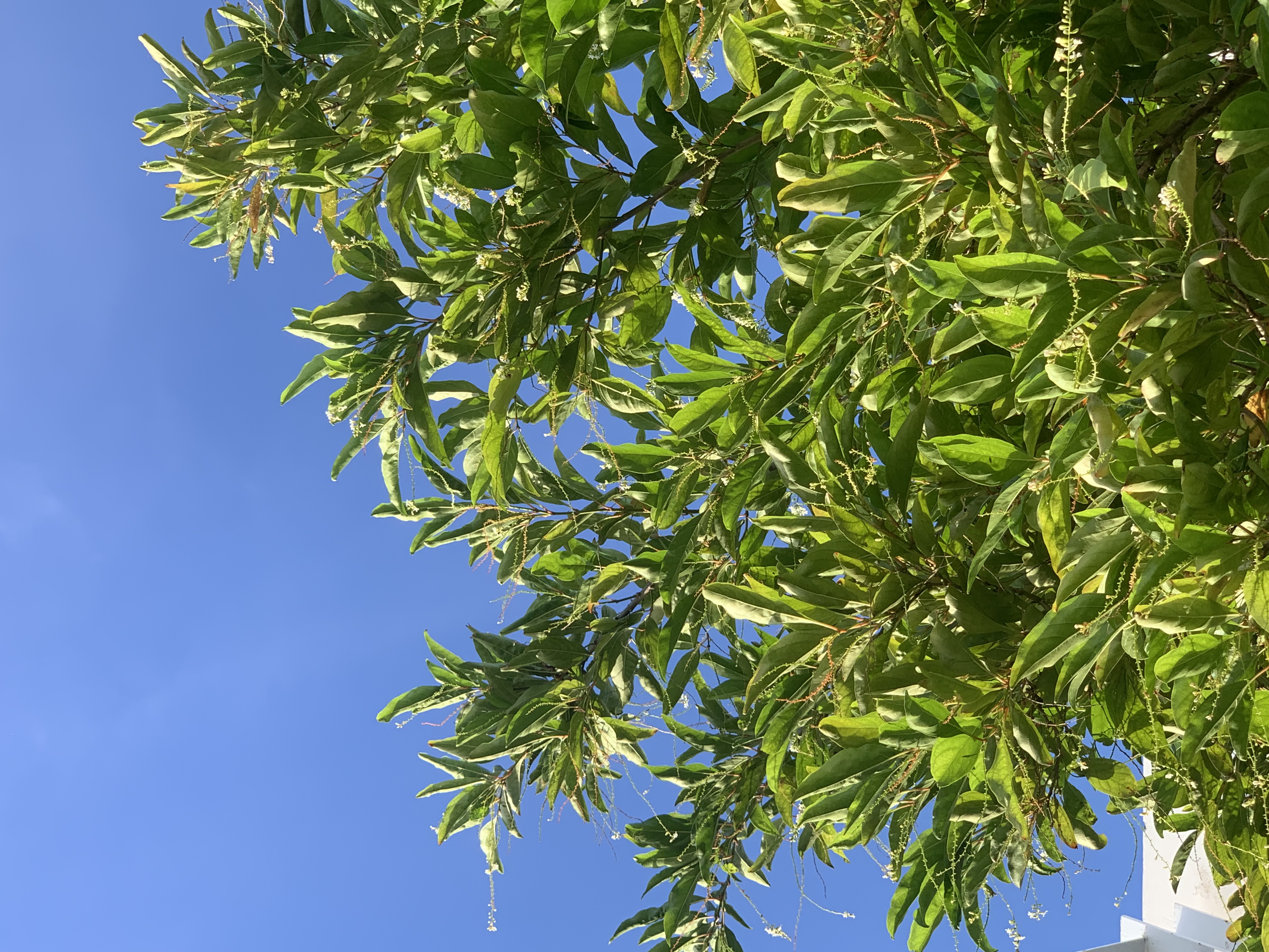 nature801.jpg