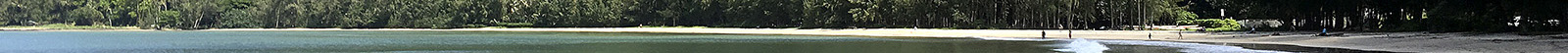 Tropical divider.jpg