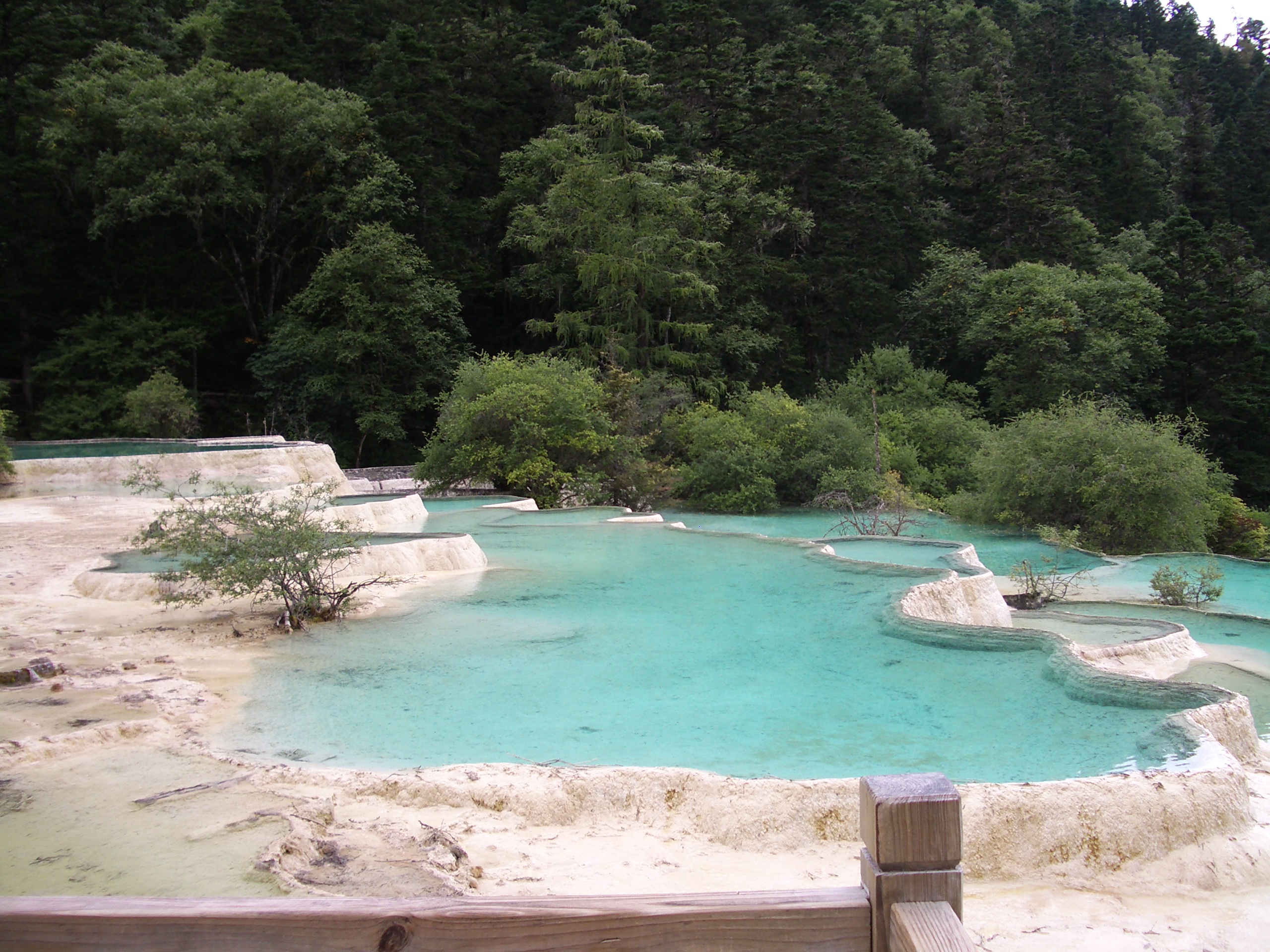 IMGP3049.JPG