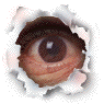 bigeye_j.gif