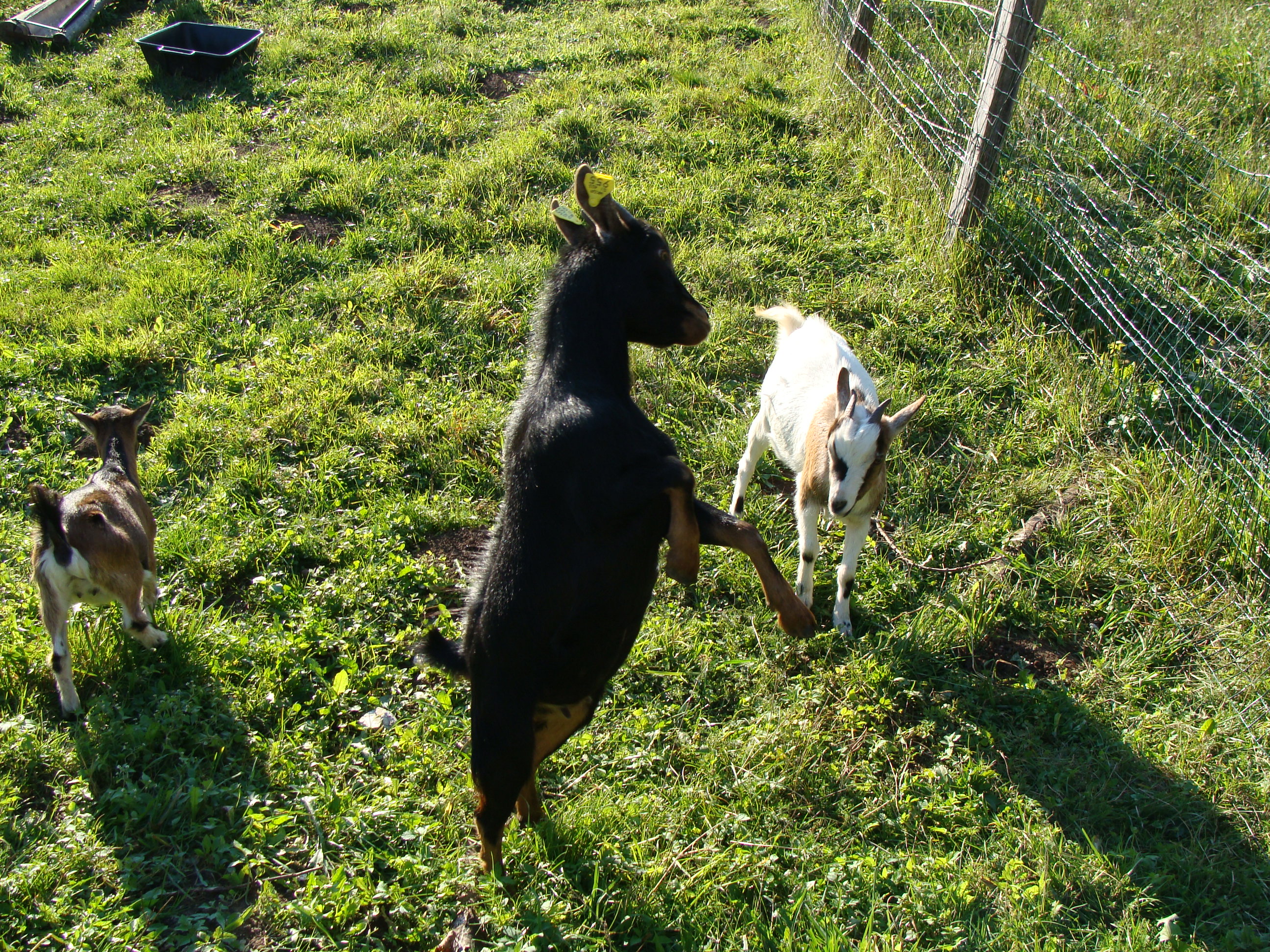 30.11.2010 052.jpg