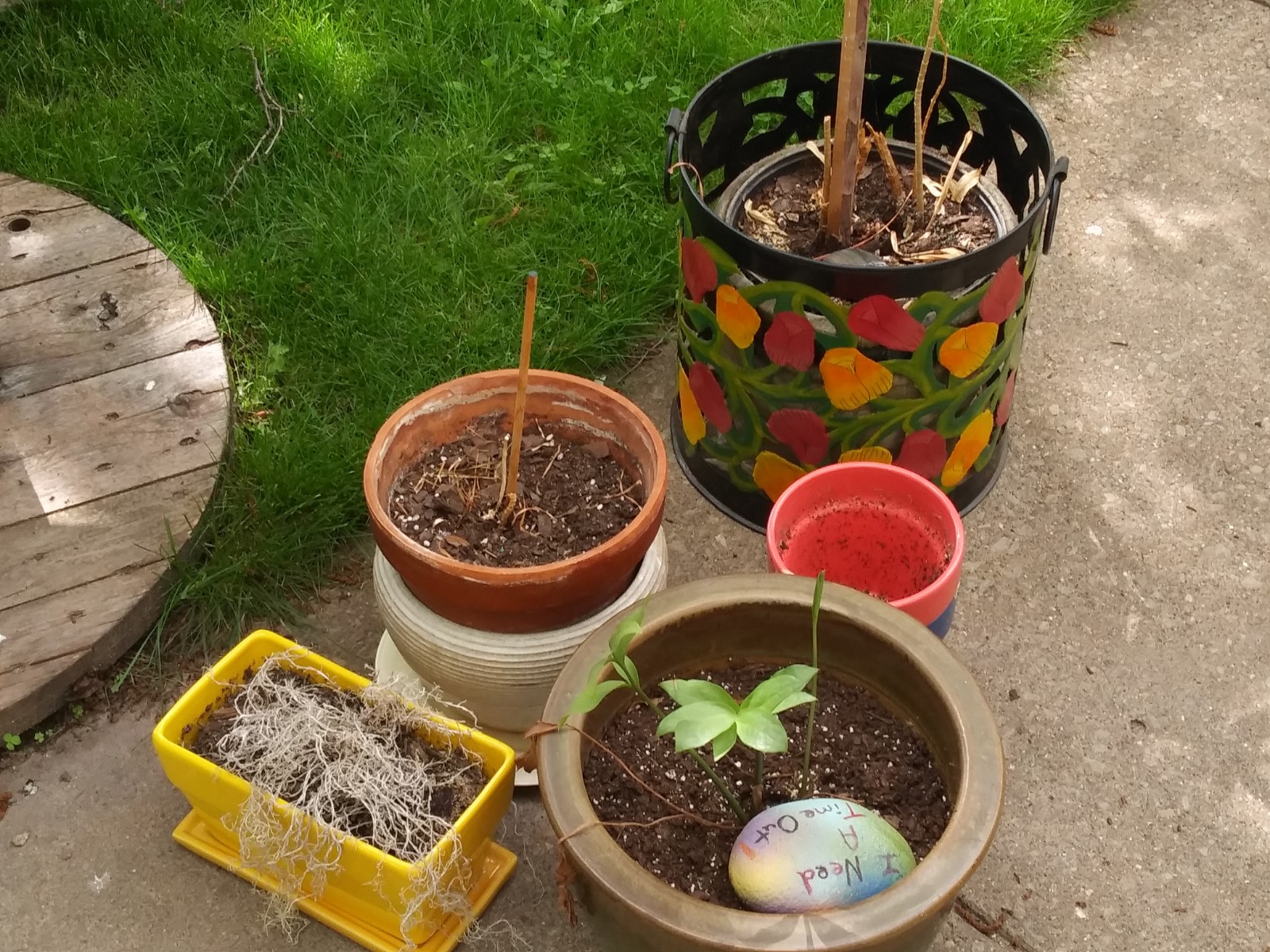 20190526_100623.jpg