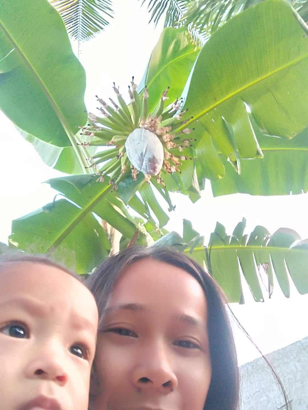 received_337317867052535.jpeg