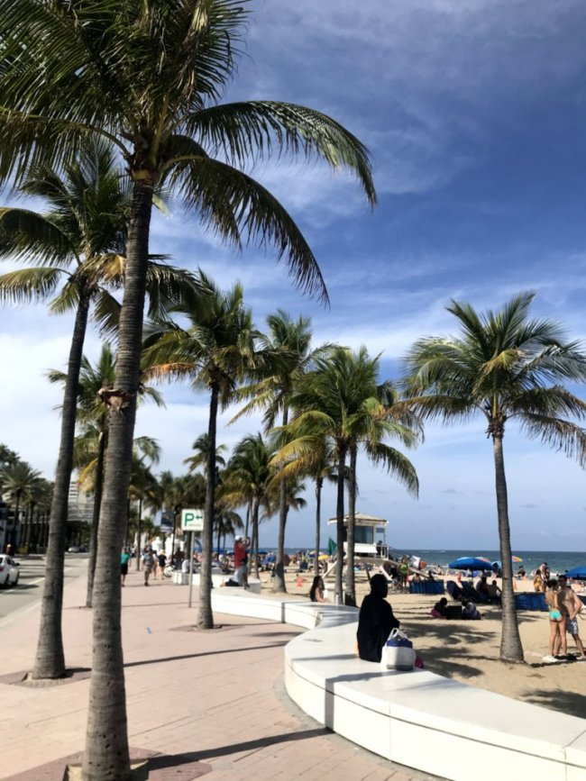 Форт лодердейл флорида. Население Форт Лодердейл. Fort Lauderdale Florida. Форт-Лодердейл достопримечательности.