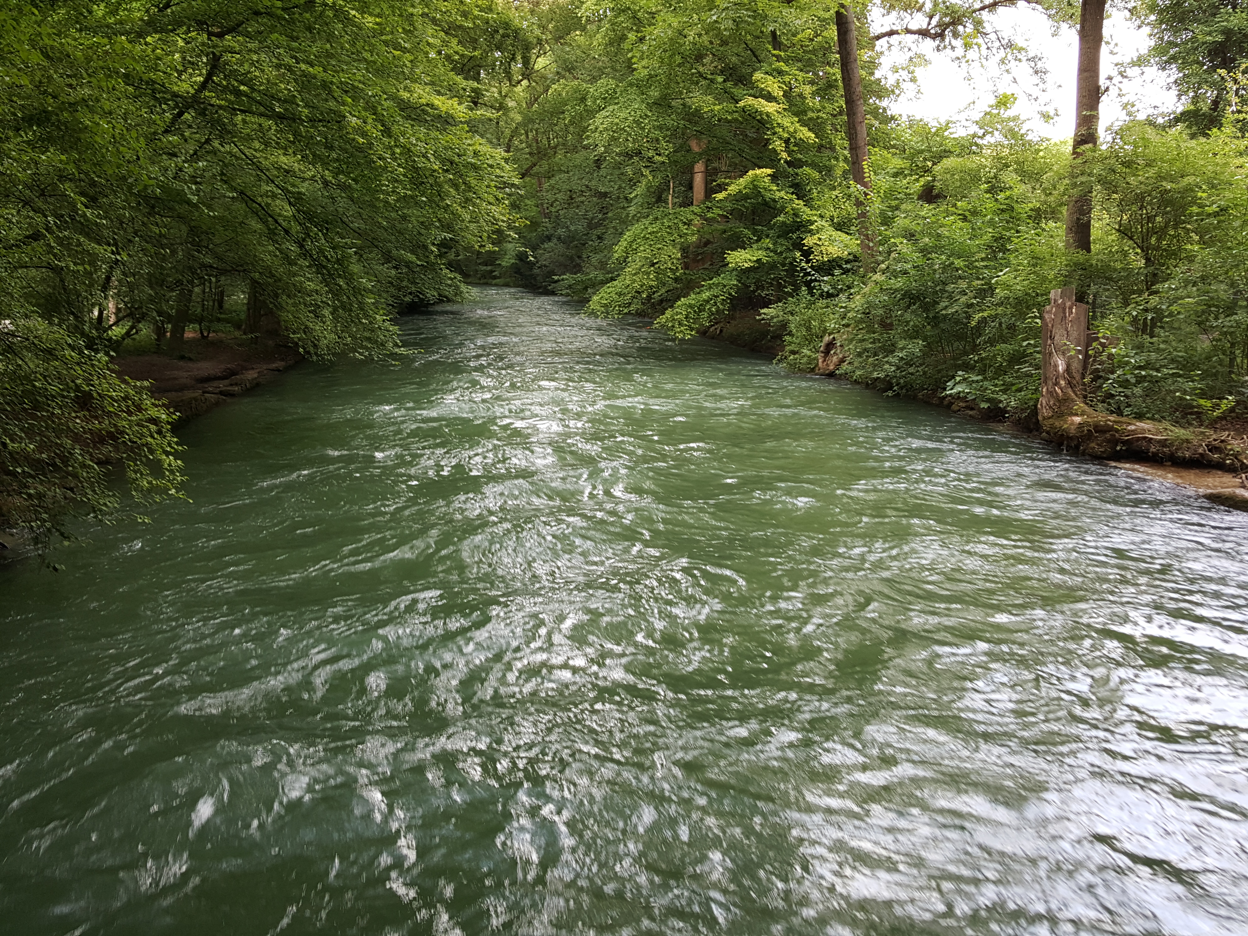 20180624_182700.jpg
