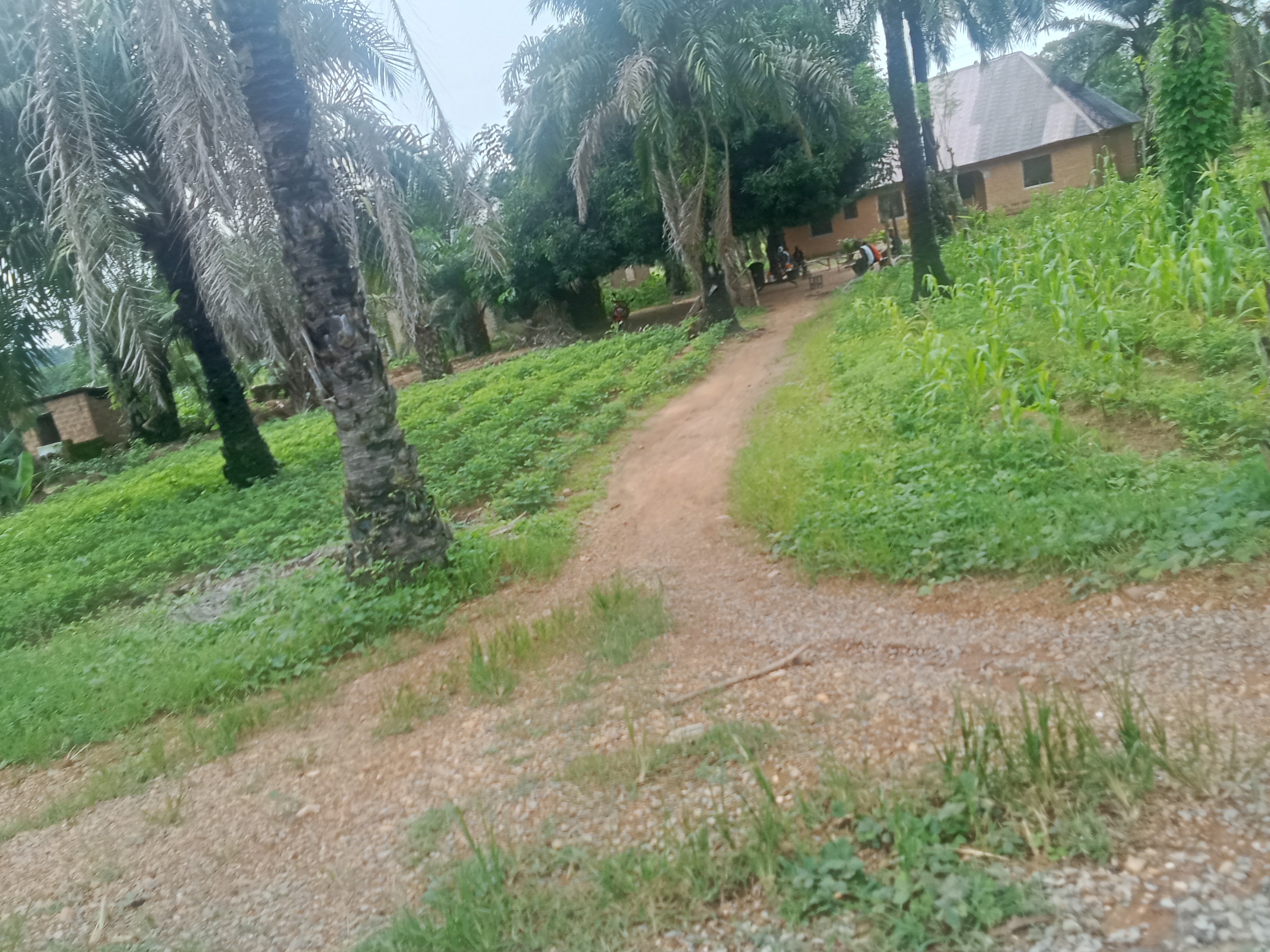1000692447.jpg
