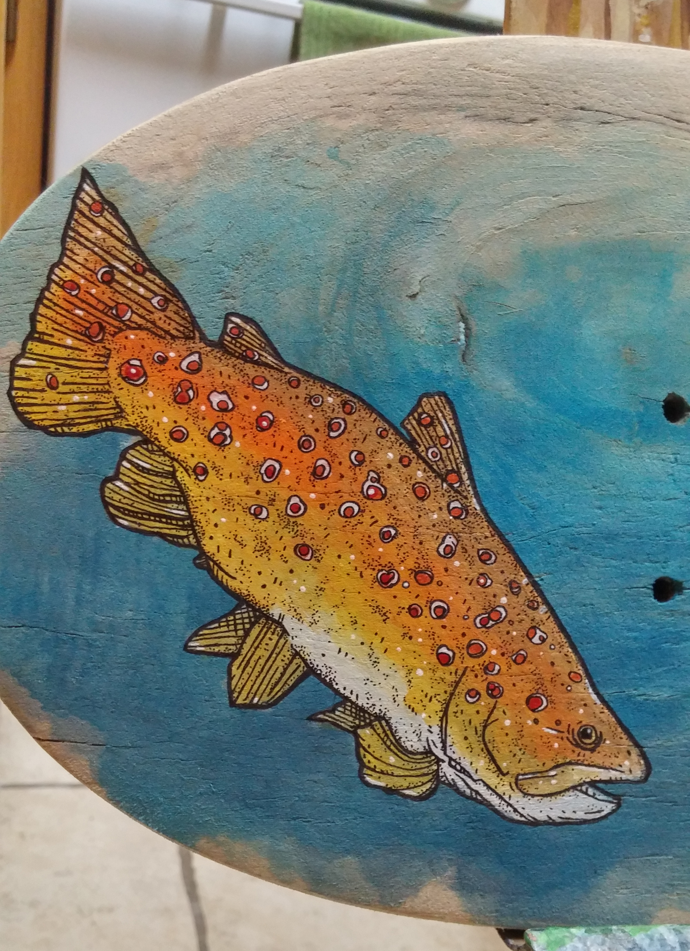 brown trout3.jpg