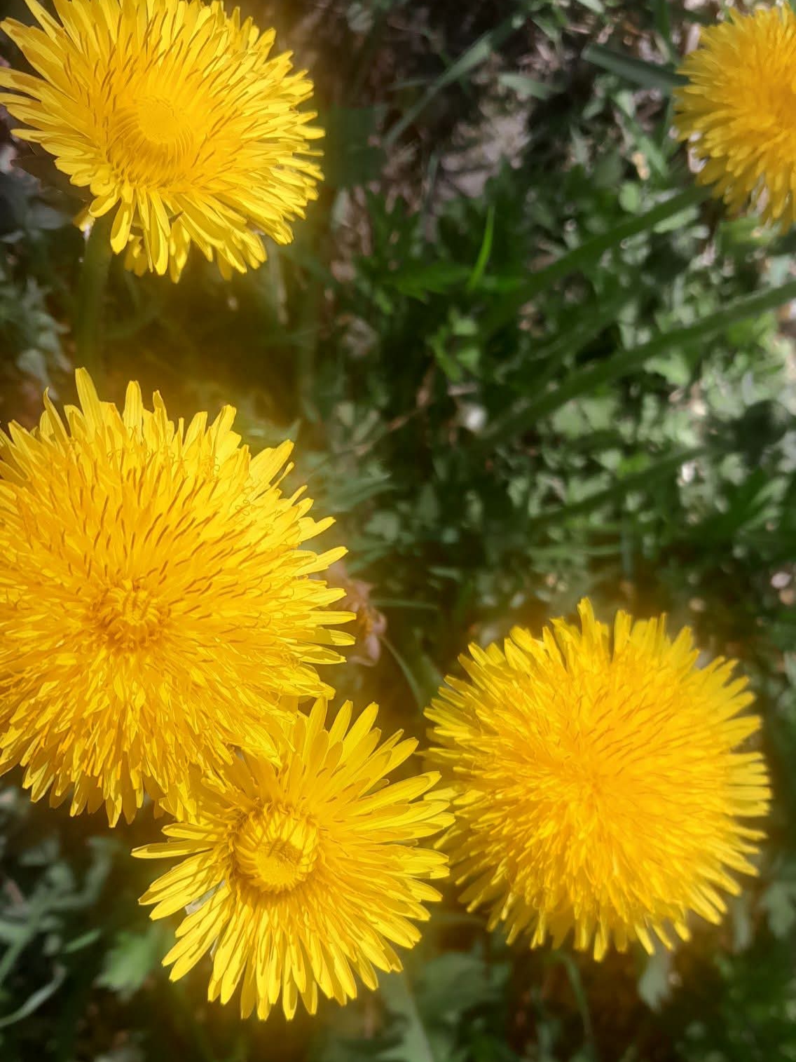 20260525_190449.jpg