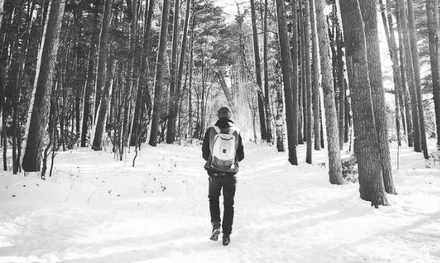 snow-day-2021-Dan-Pugleasa-pic.jpg