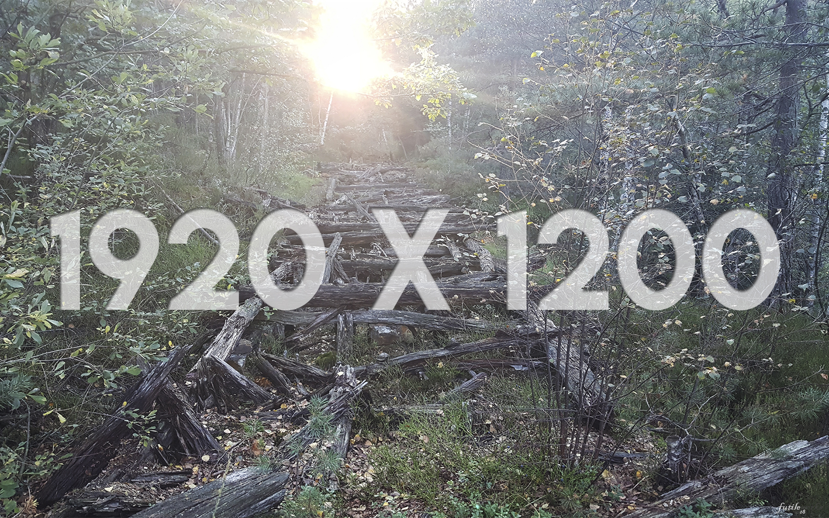 05 1920x1200 Thumbnail Trail of Time.jpg