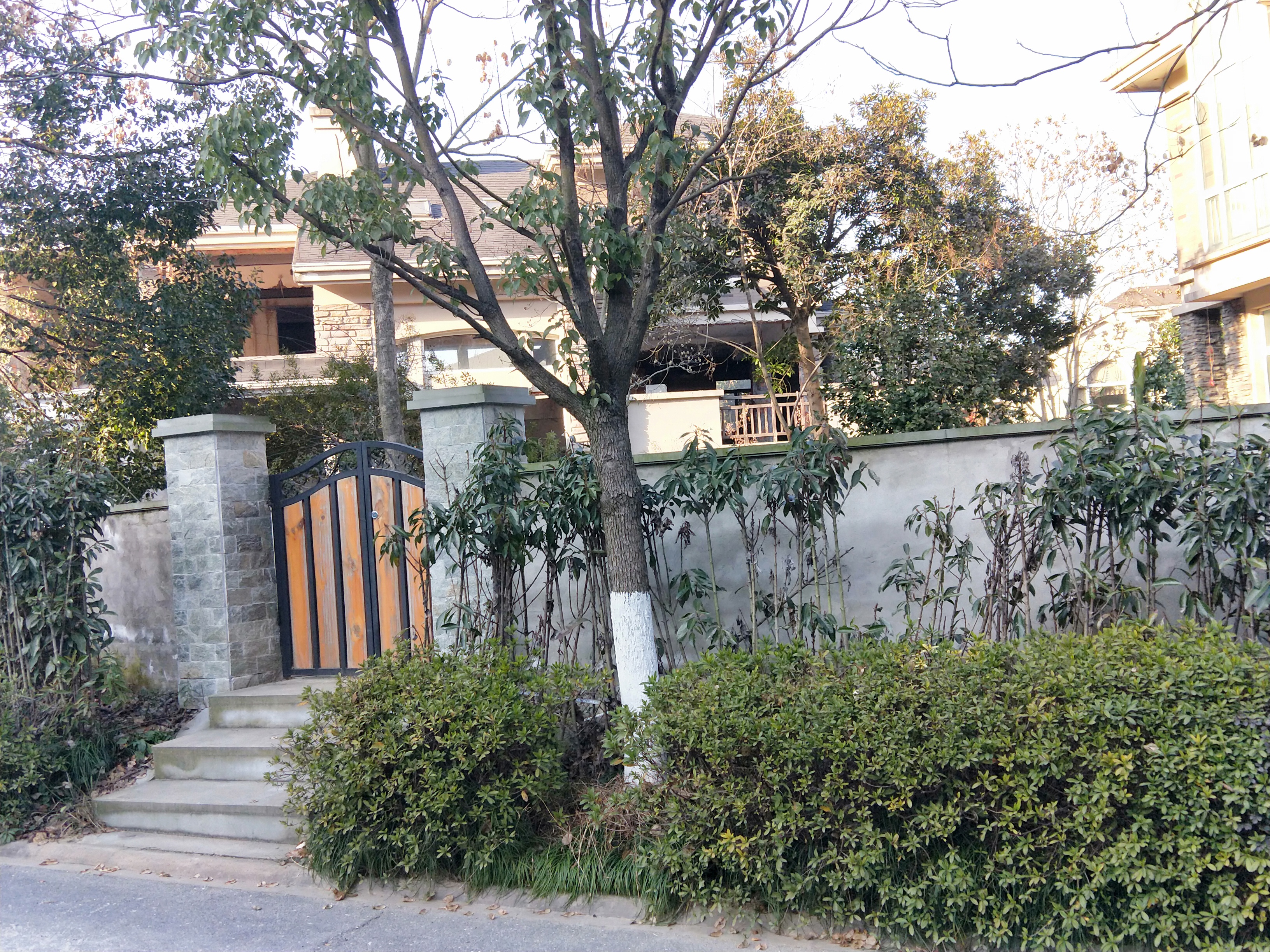 IMG20190126155245.jpg