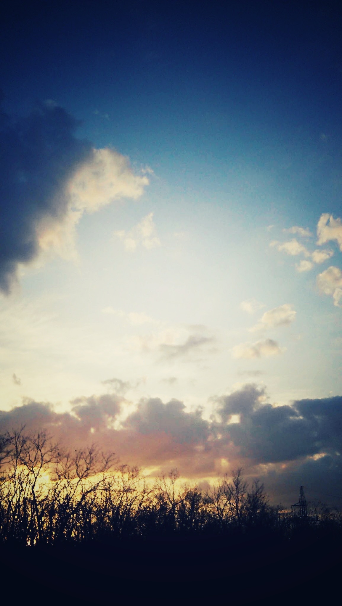 IMAG0185-01-01.jpeg