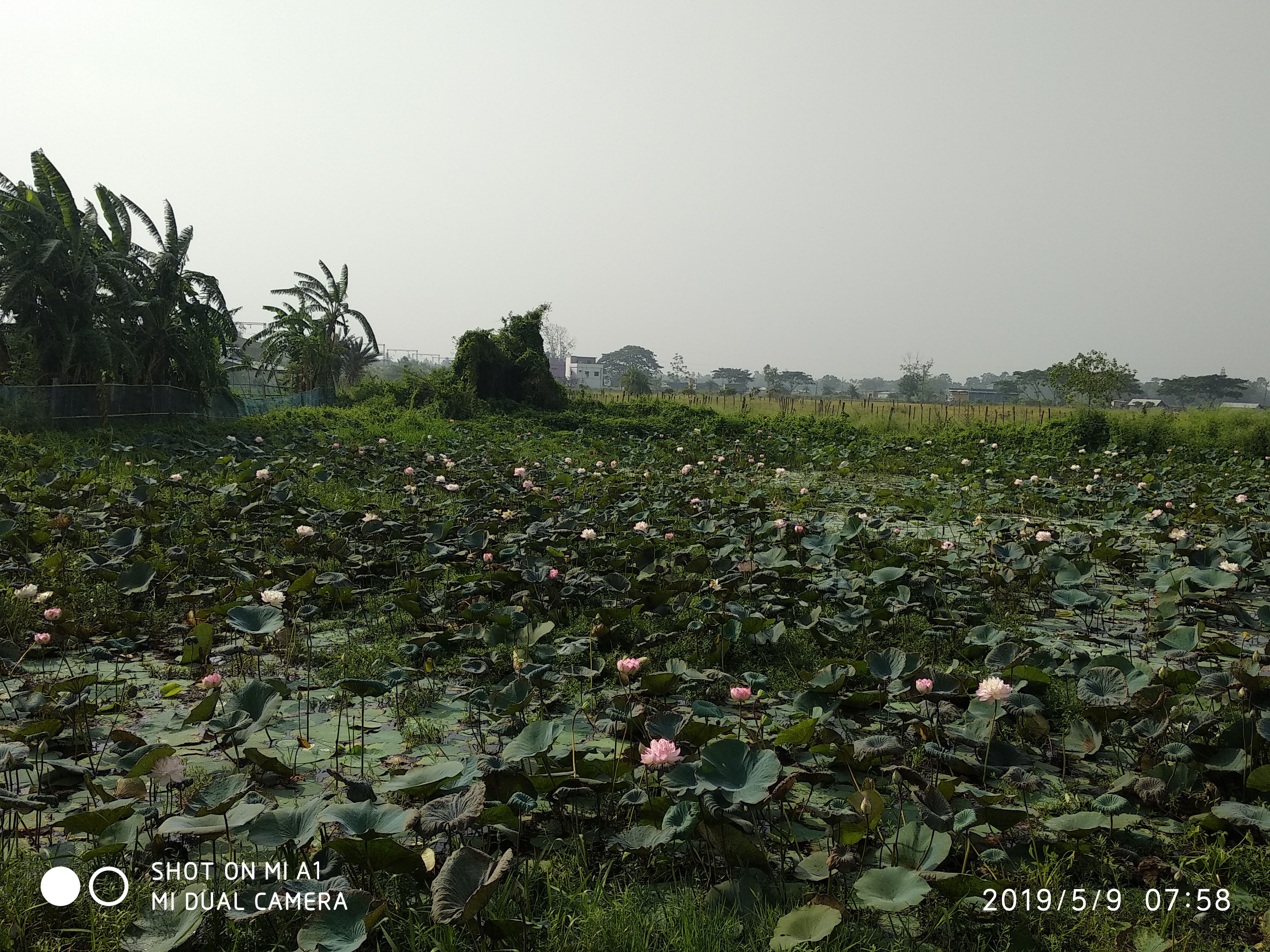 IMG_20190509_075856.jpg