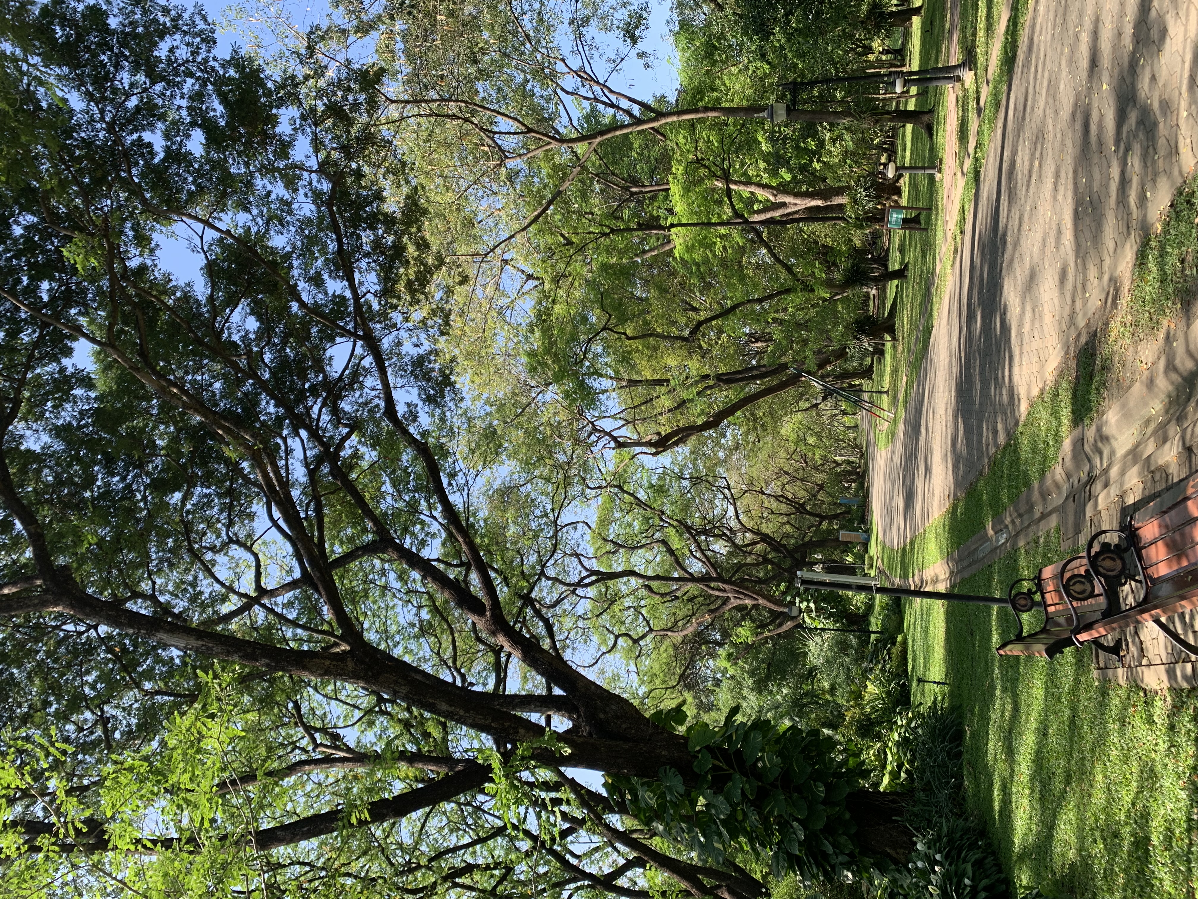 Queen Sirikit Park202.jpg