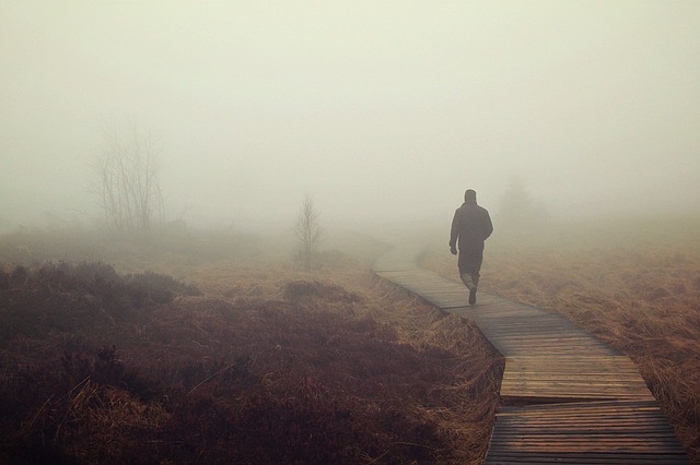 fog-1258892_640.jpg