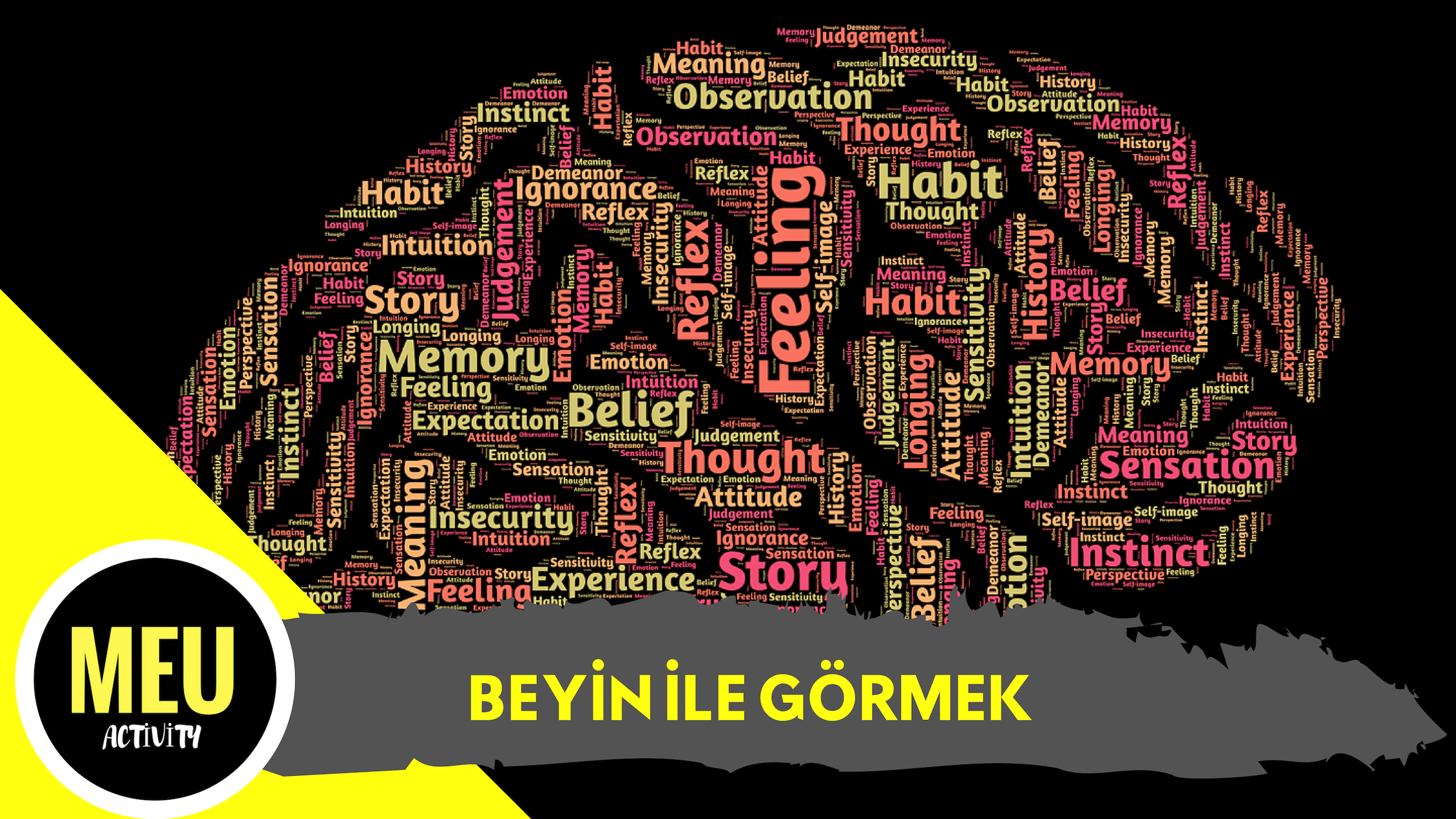 RENK KÖRLÜĞÜ (1).jpg