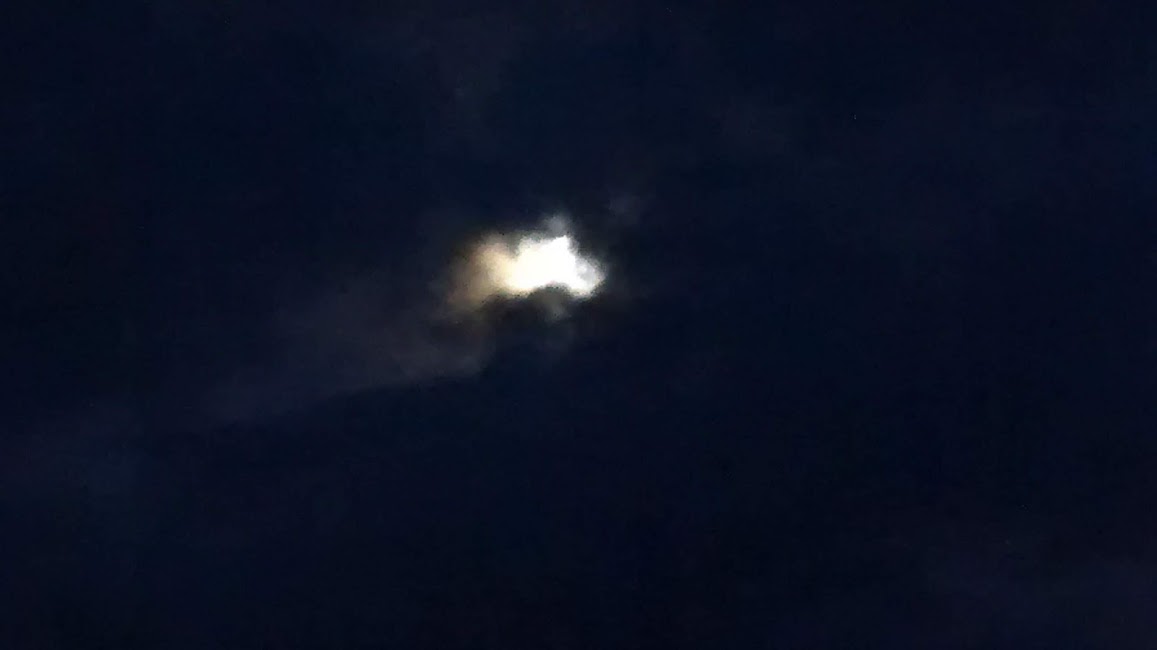 IMG_20200311_065116776.jpg