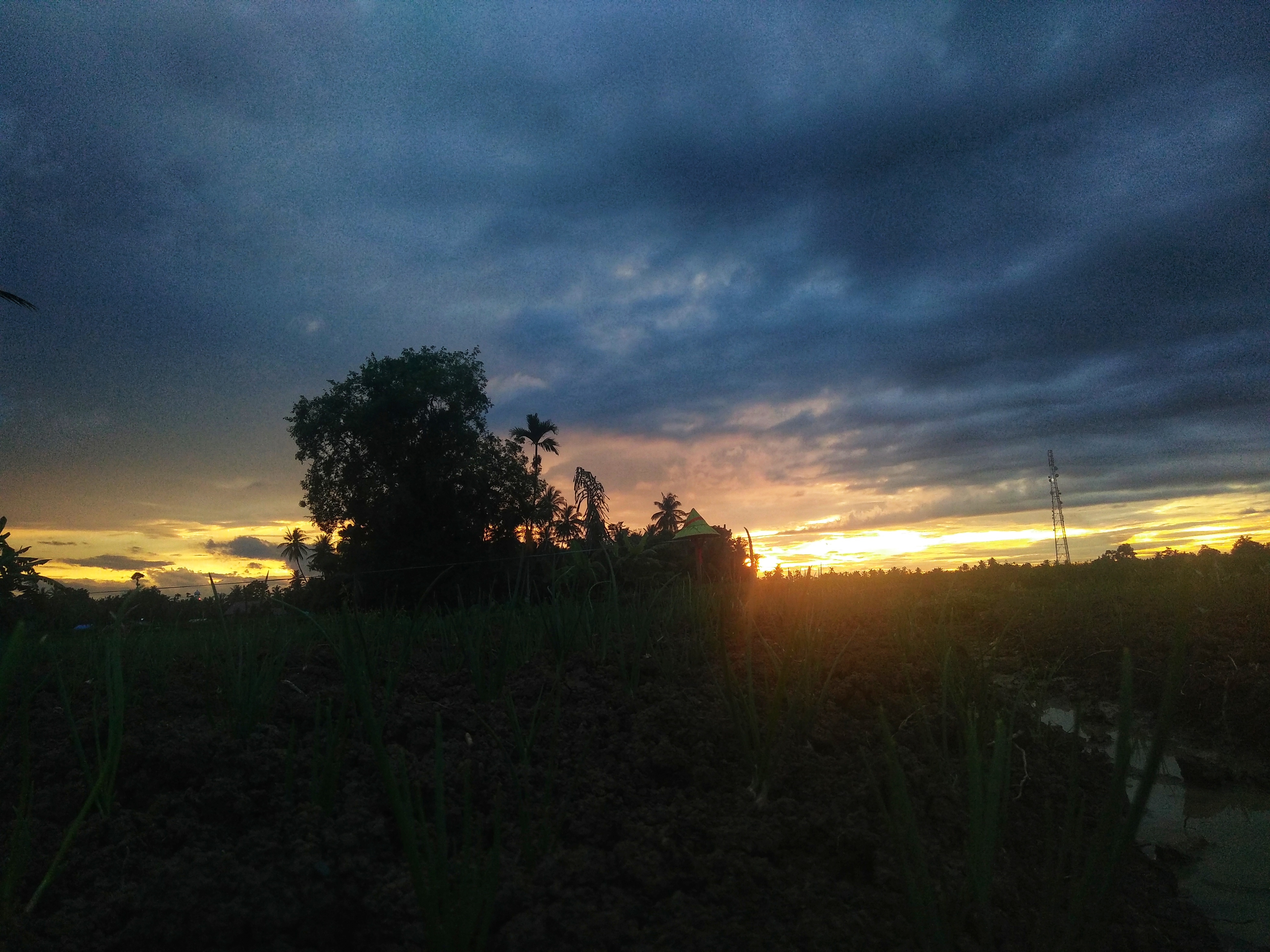 IMG20181017181143-01.jpeg