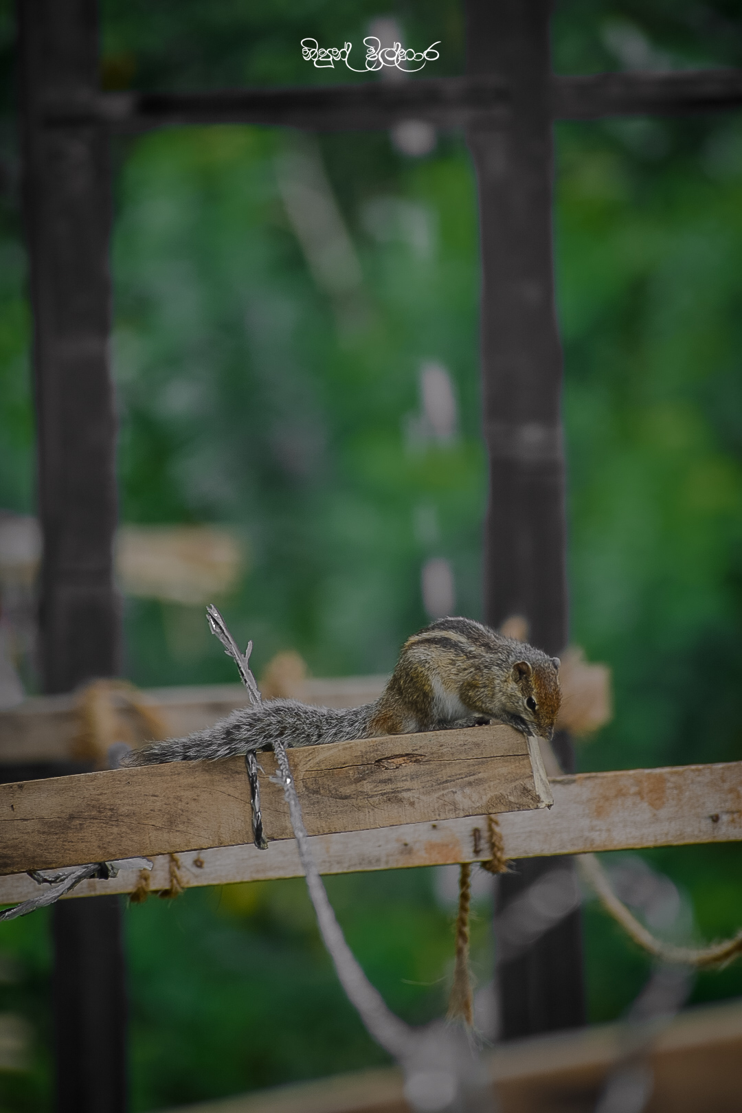 DSC_0027.jpg