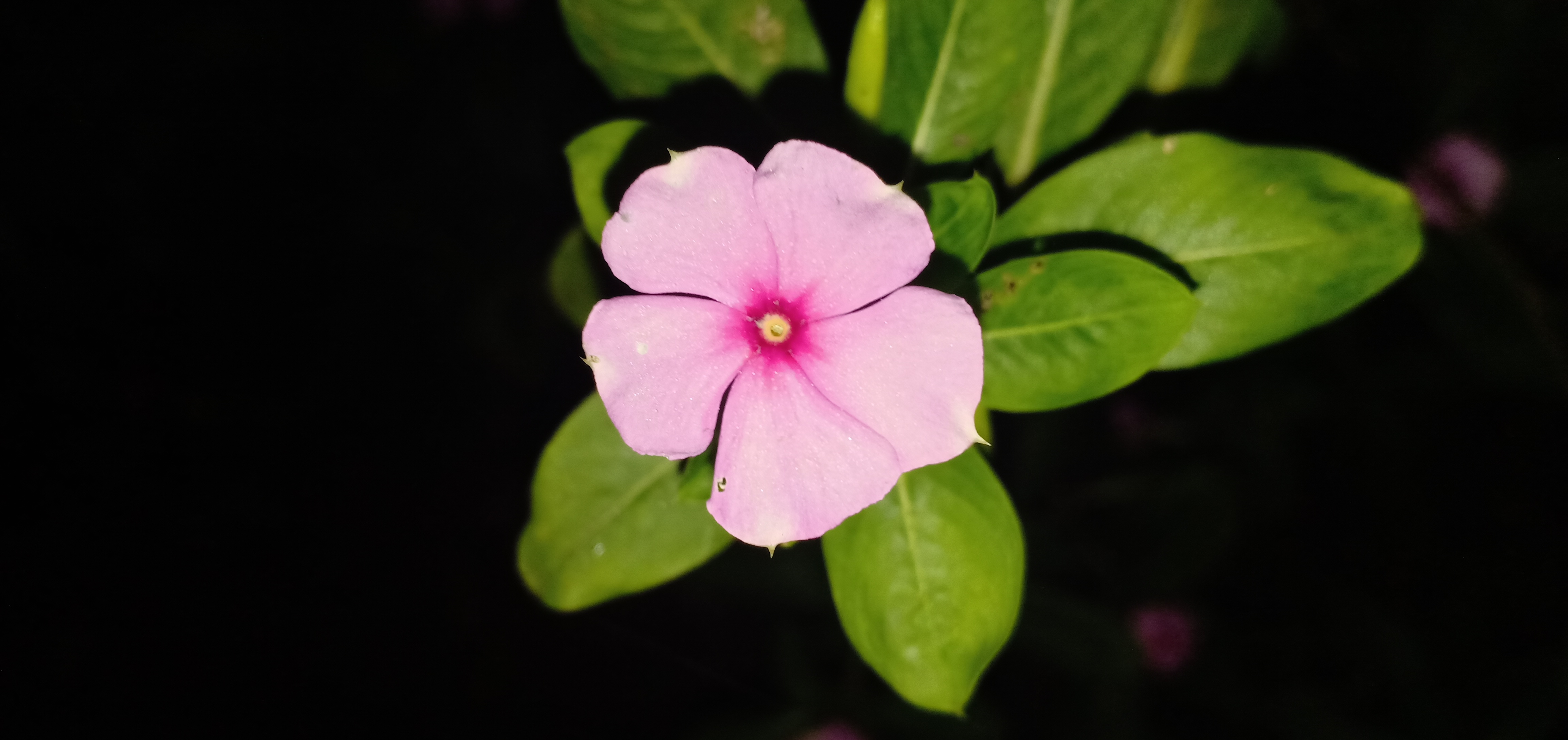 IMG20191009235736.jpg