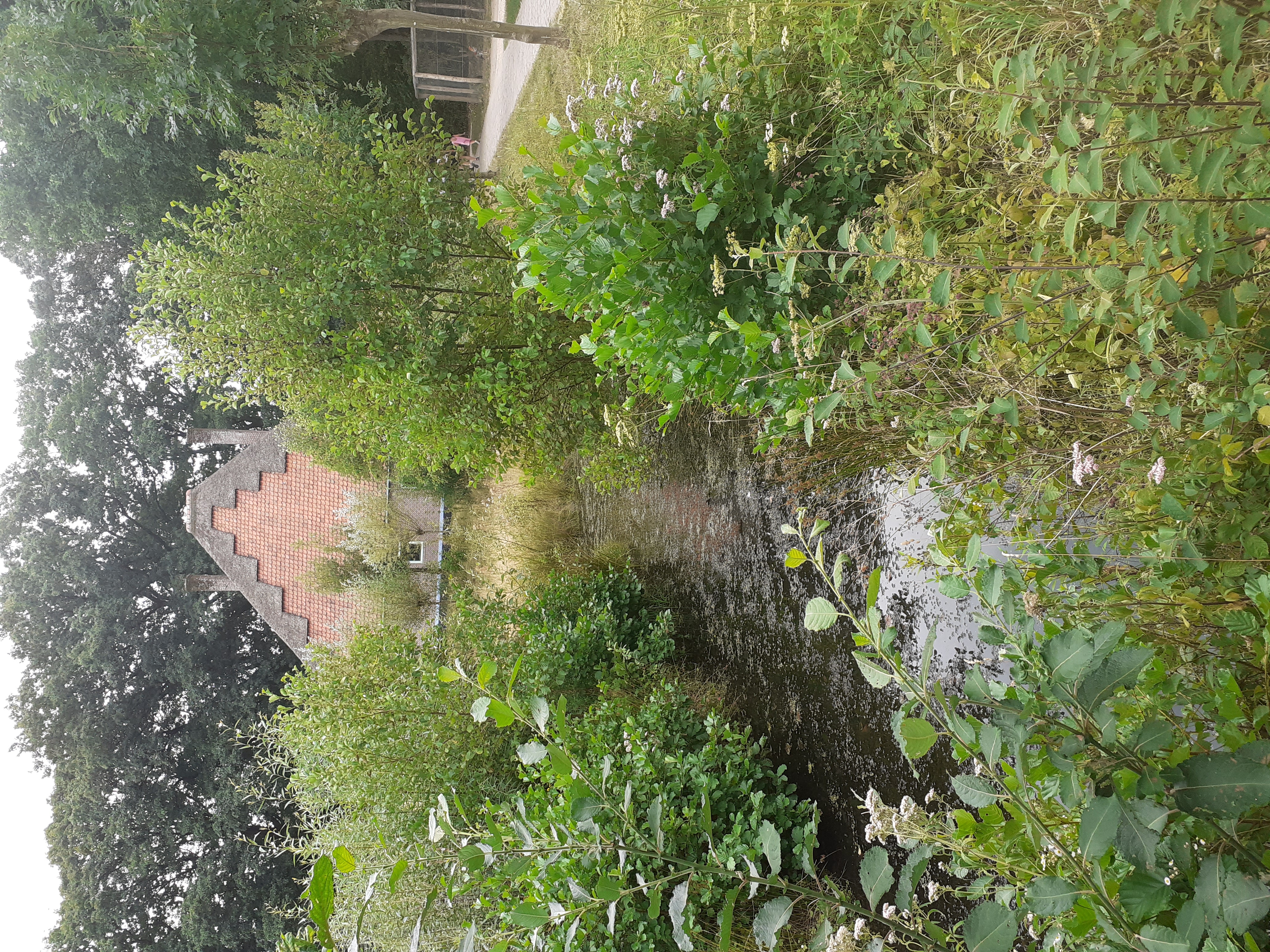 20260809_170109.jpg