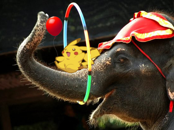 fibraelefante-circo-670x410.jpg