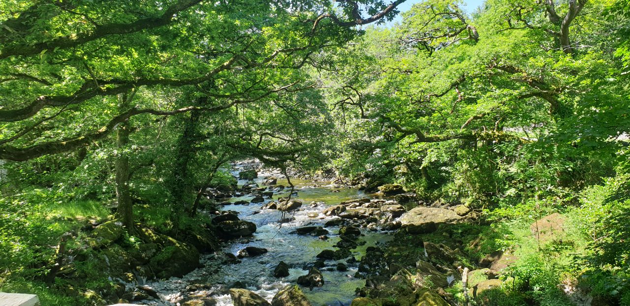 IMAGE 2019-07-04 09:26:34.jpg