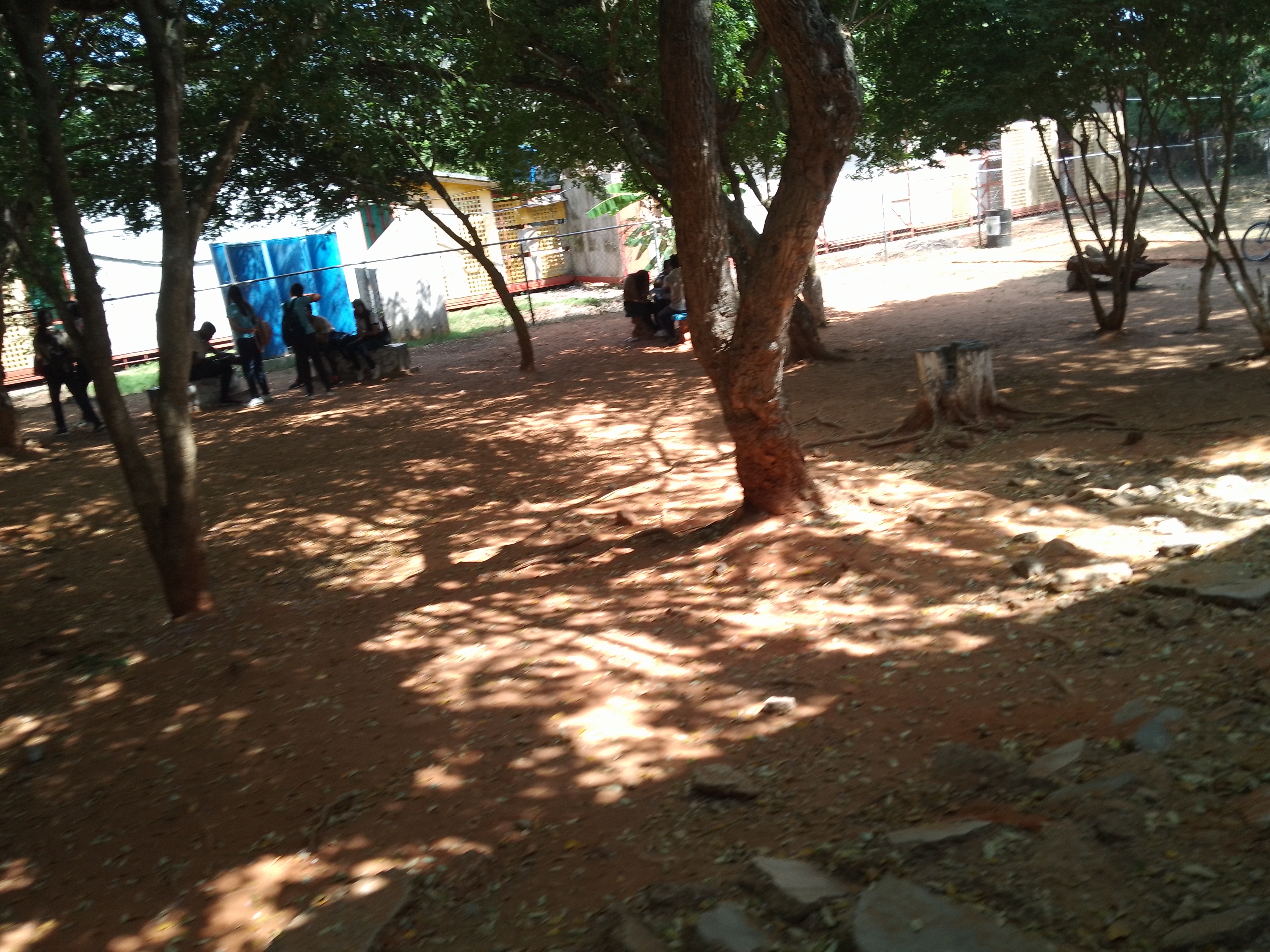 IMG_20240202_112139_178.jpg